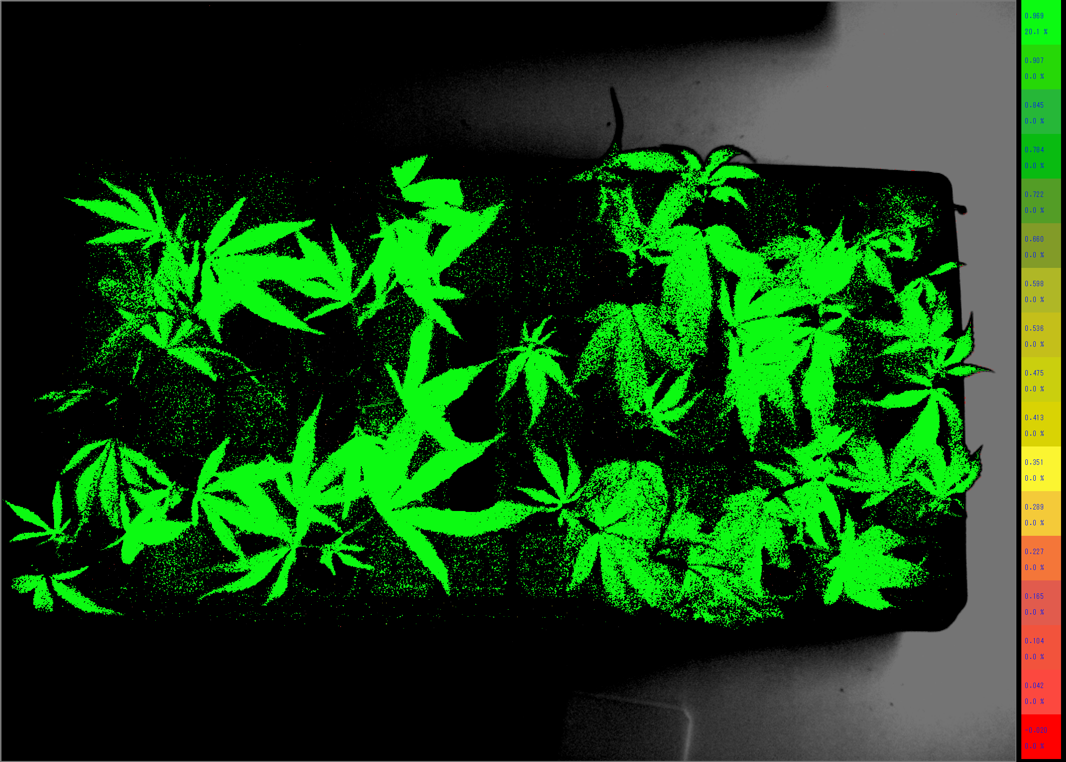 Healthy Clones Fac A 1.png