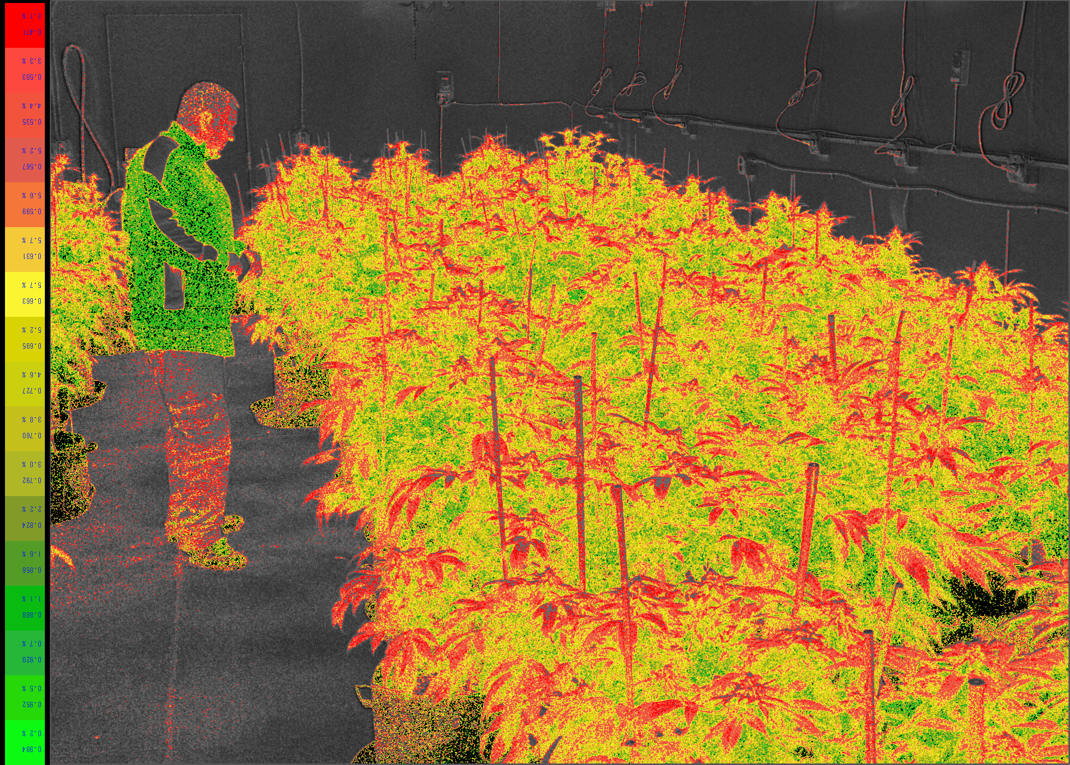 TTC00158_Nir G.png