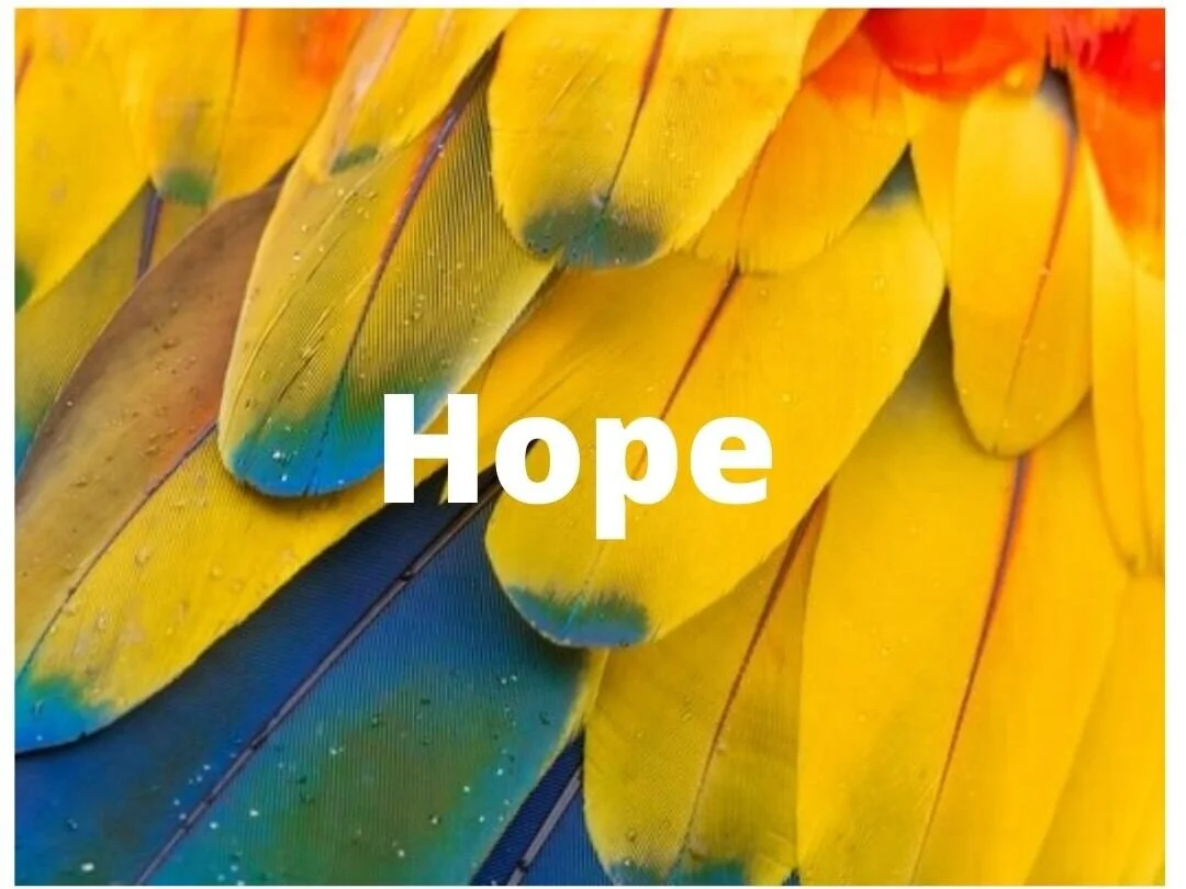 Sunday 19 April 2020 - Hope! 