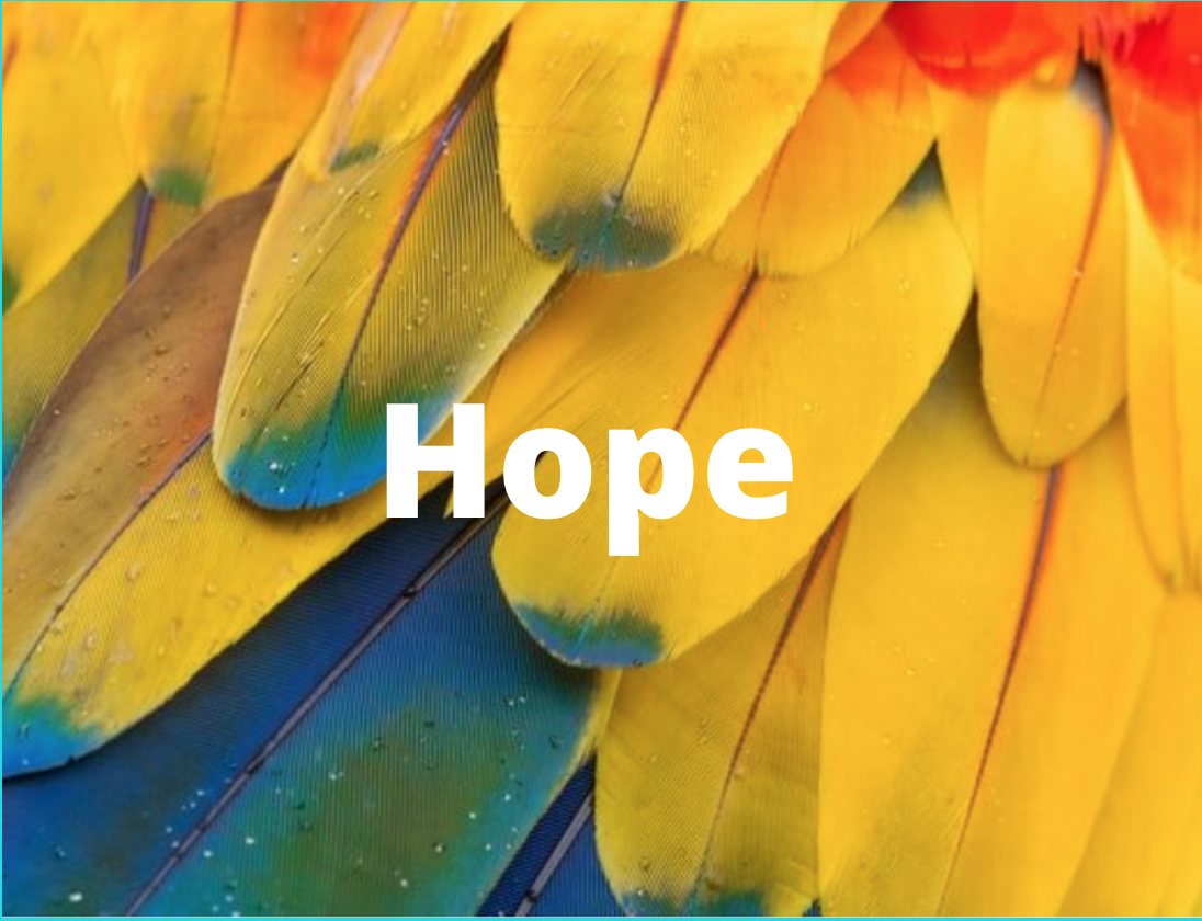 Sunday 31st May 2020 - Pentecost