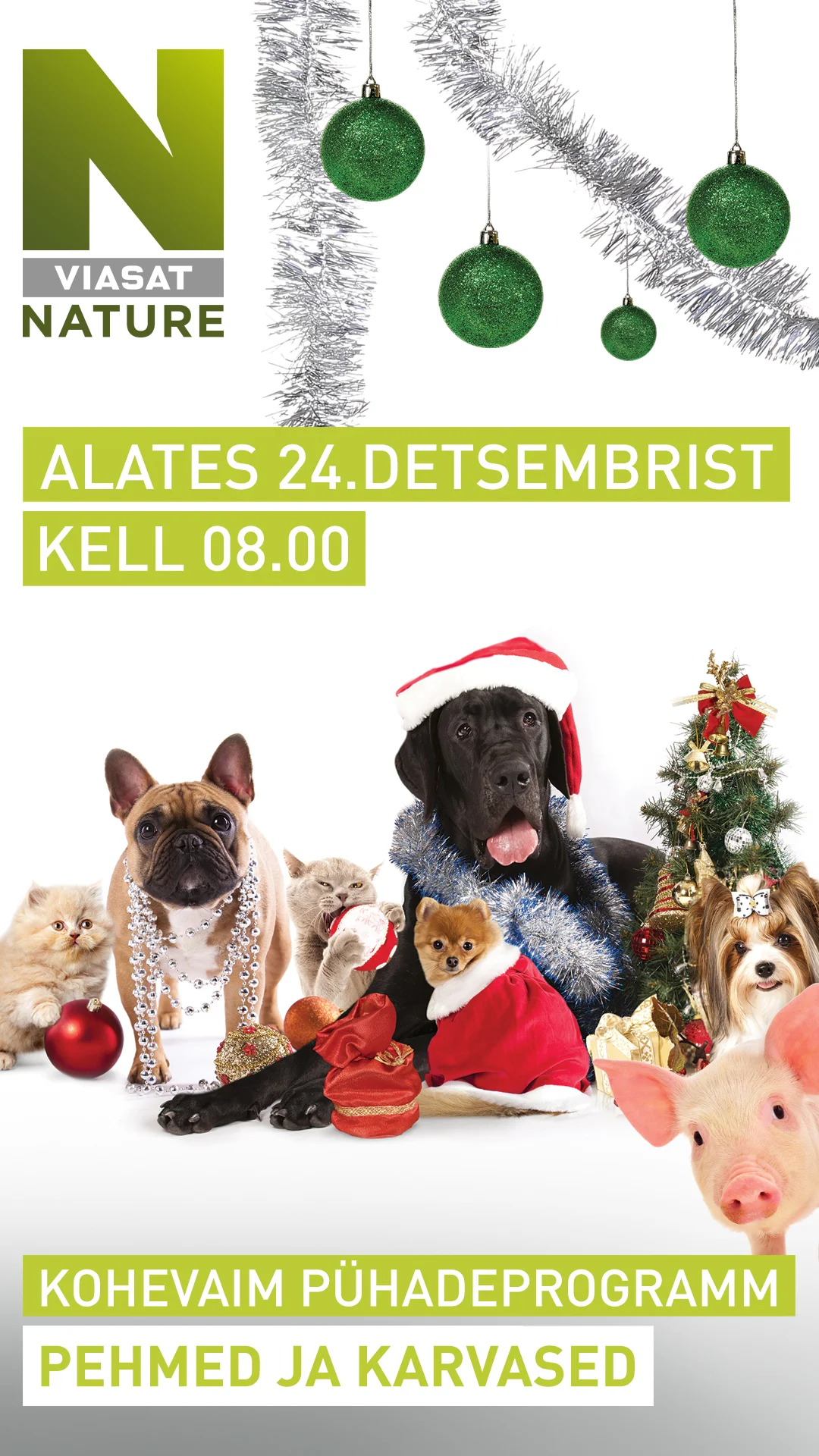 Nature_Christmas_Festive_Furry Tales_1080 x 1920_1_RGB.jpg