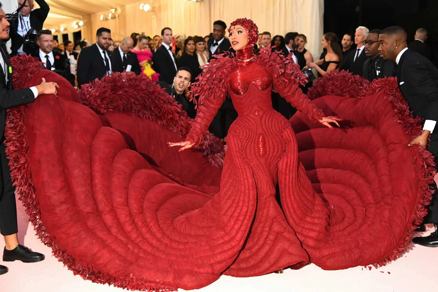 cardi-LEAD.jpg