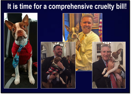 comprehensive-bill.jpg