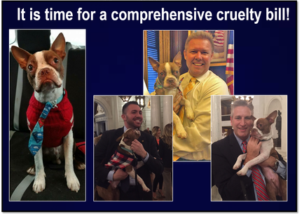 Support House Bill 1238, including Libre's Law! — Speranza Animal Rescue