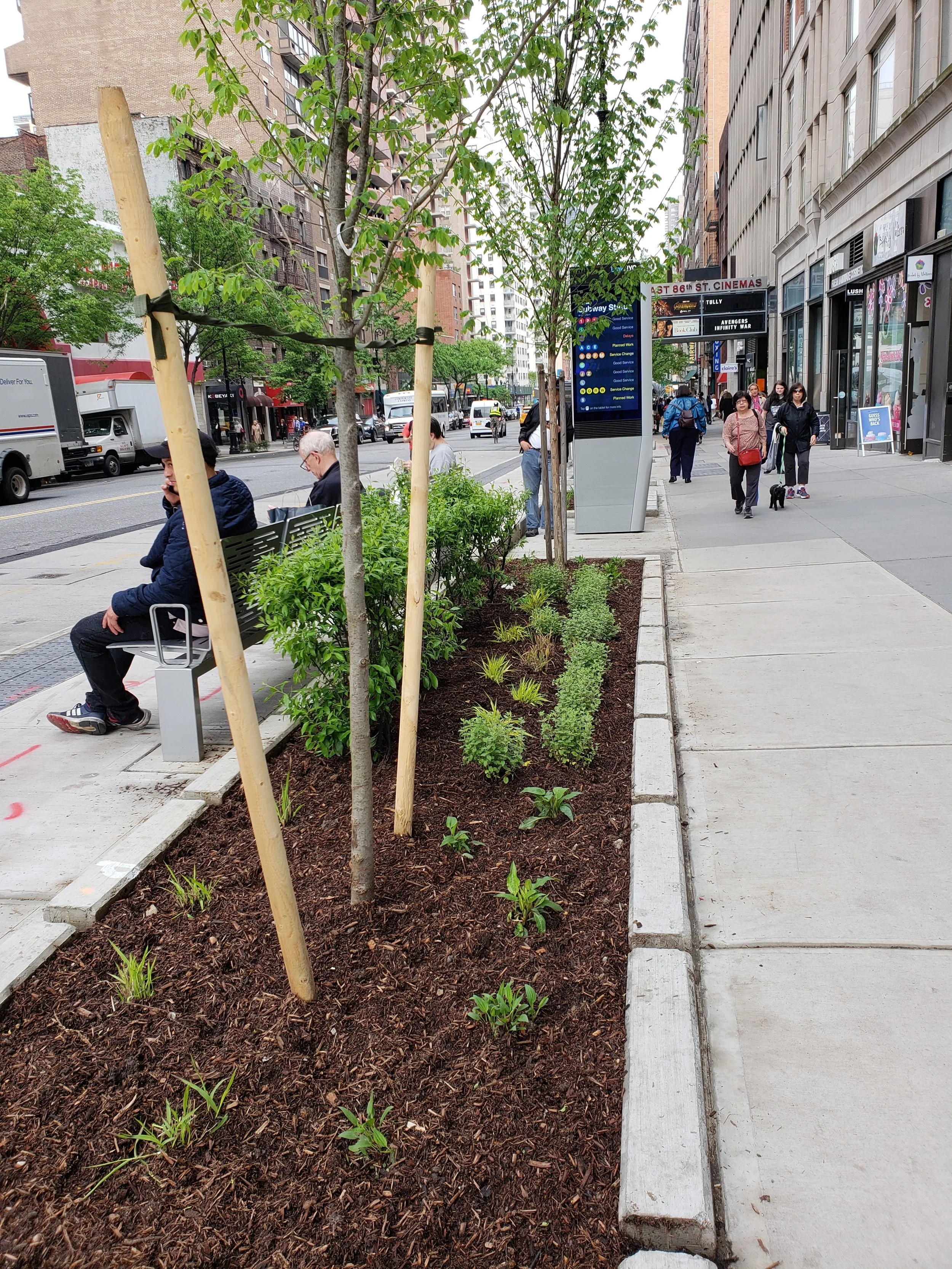East 86th Street Buried In Plants, Trees