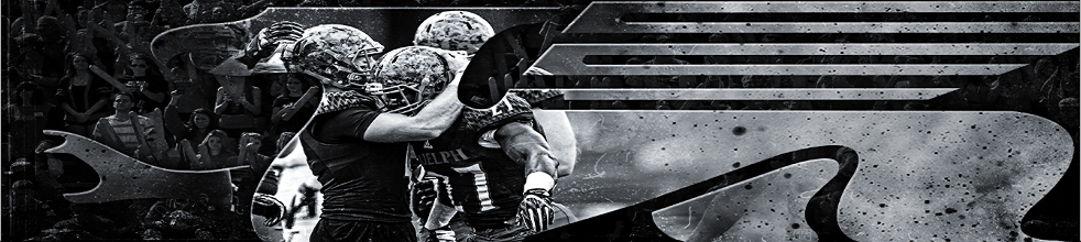 banner.png