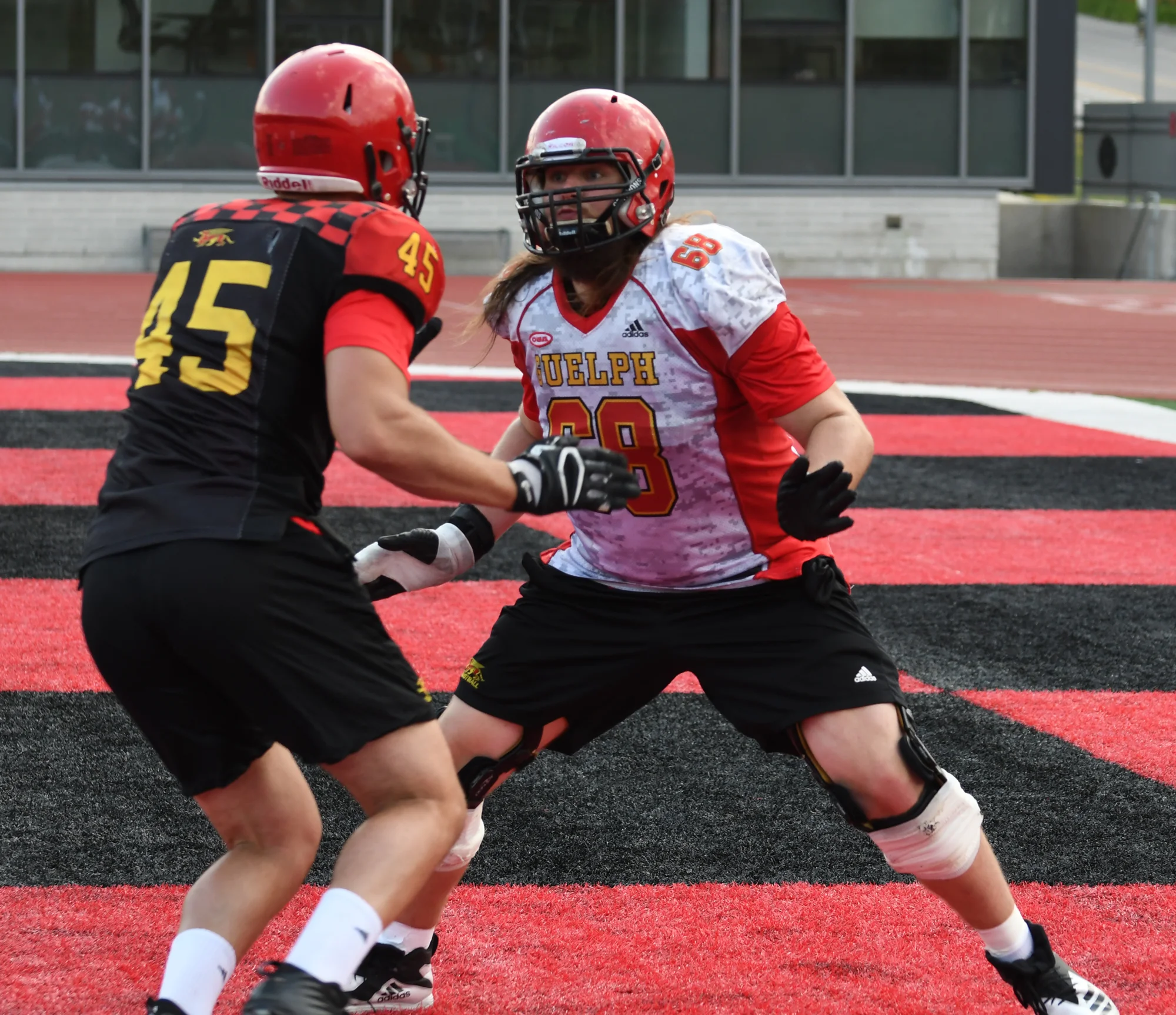 GRYPHS starczala.jpg