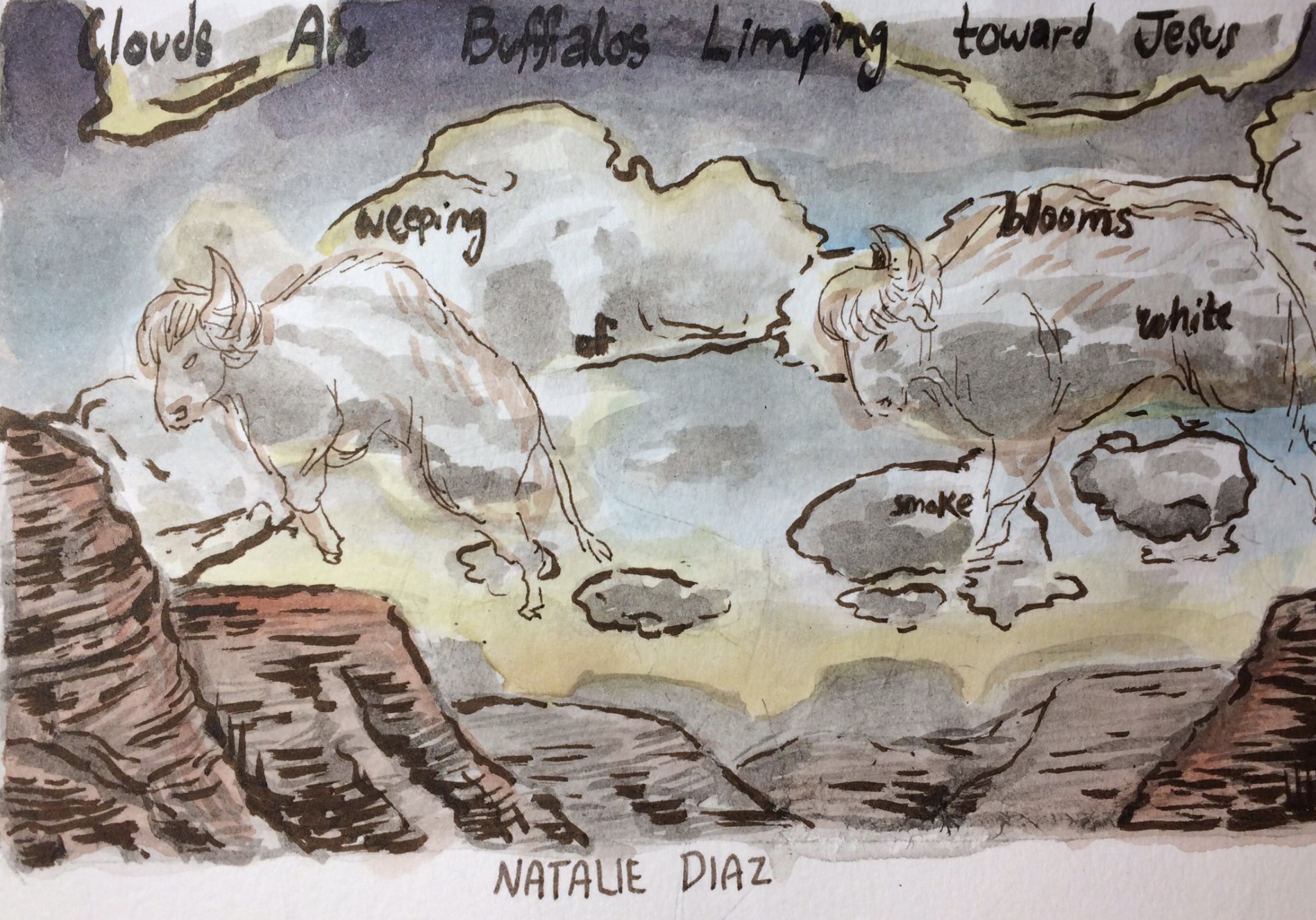 Clouds Are Buffalos Limping toward Jesus