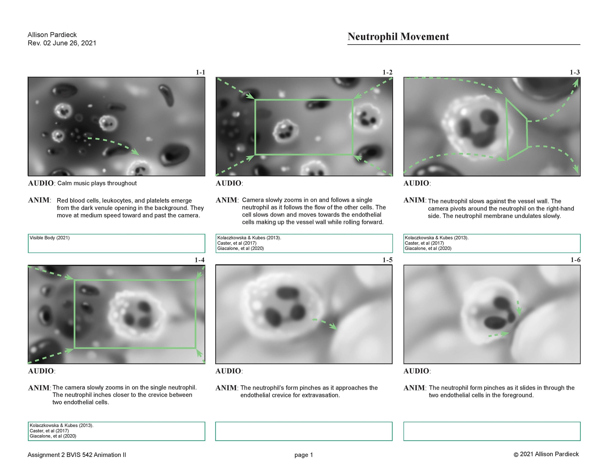 "Neutrophil Recruitment" Storyboard (page 1) 