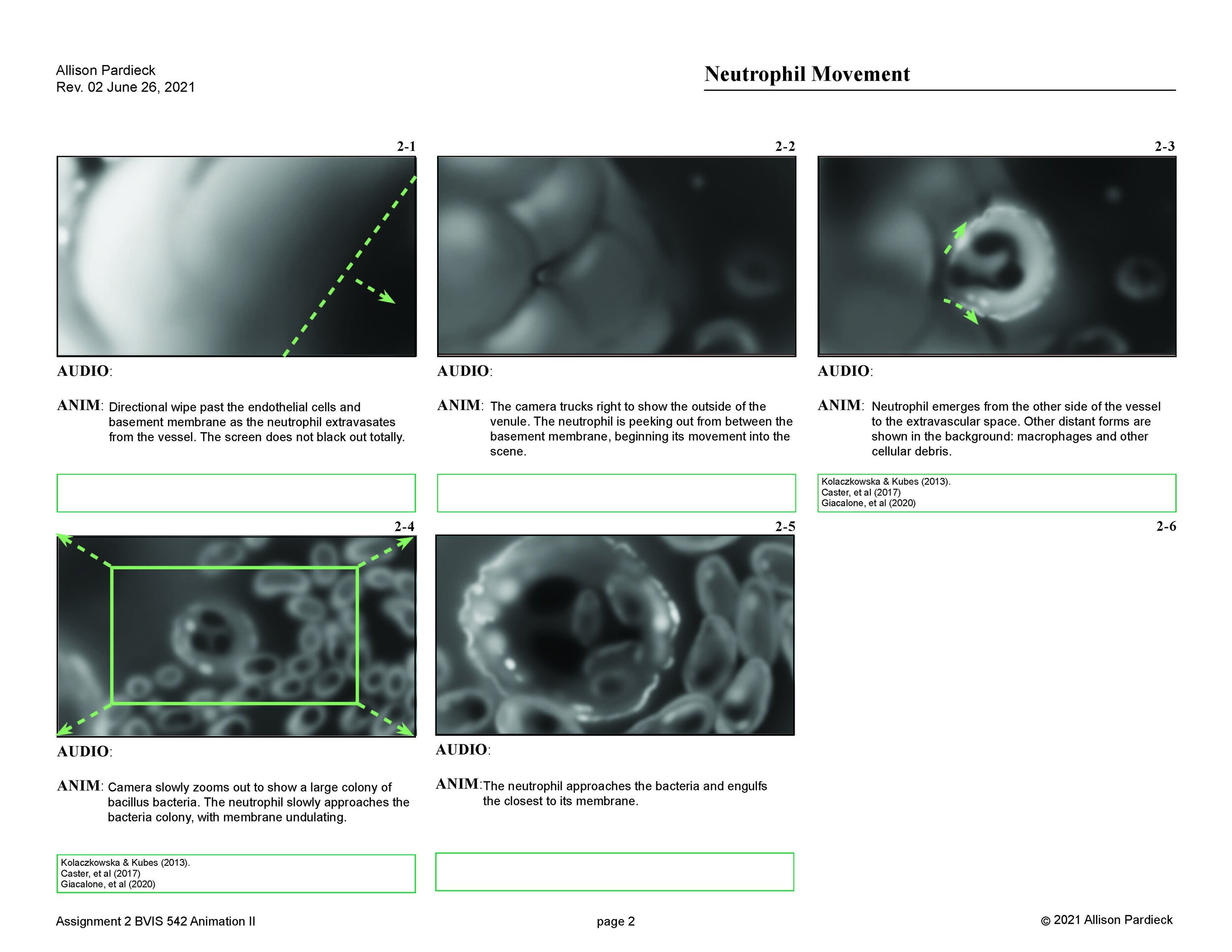 "Neutrophil Movement" Storyboard (page 2)