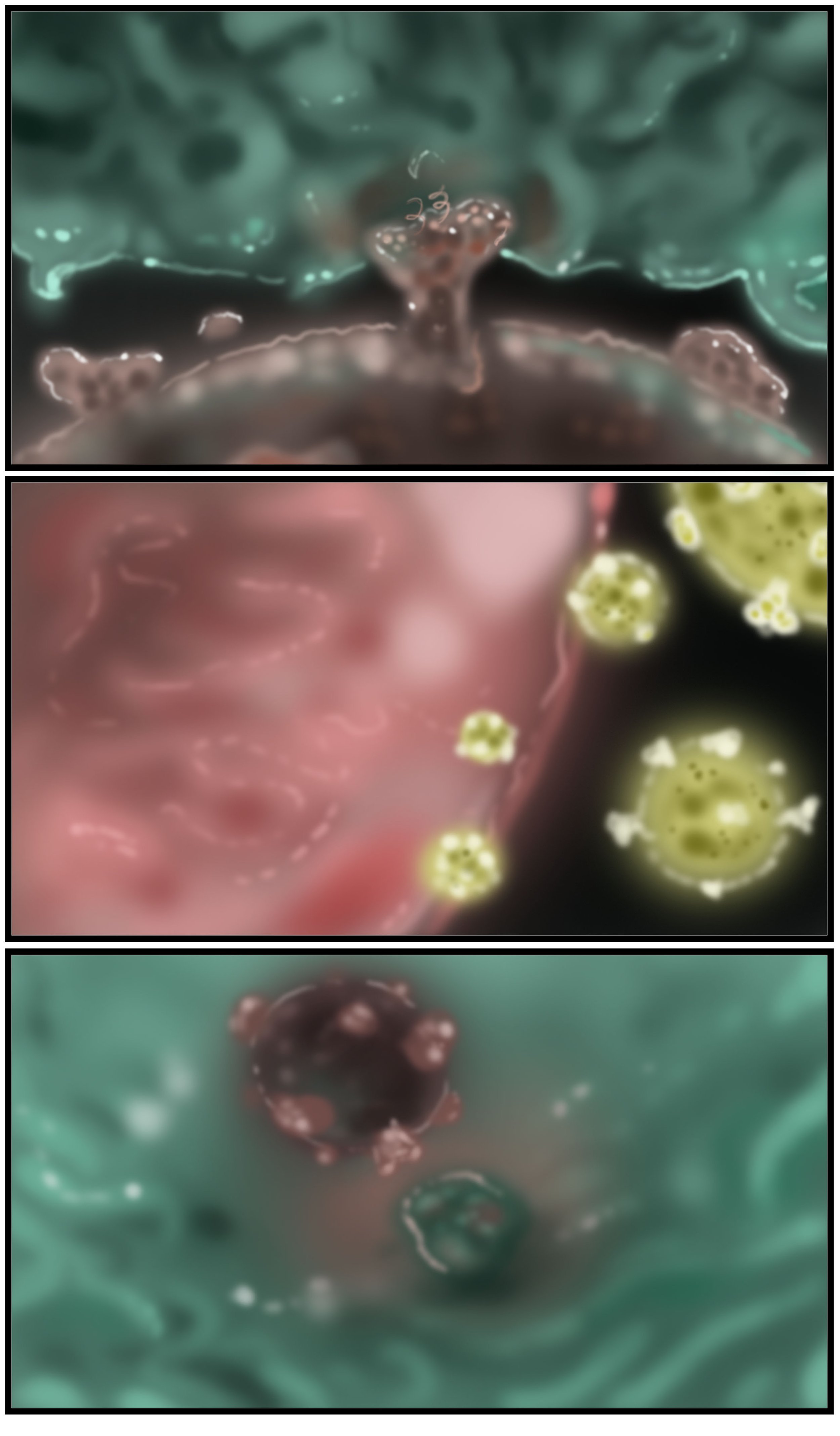 "HIV connections" Storyboards