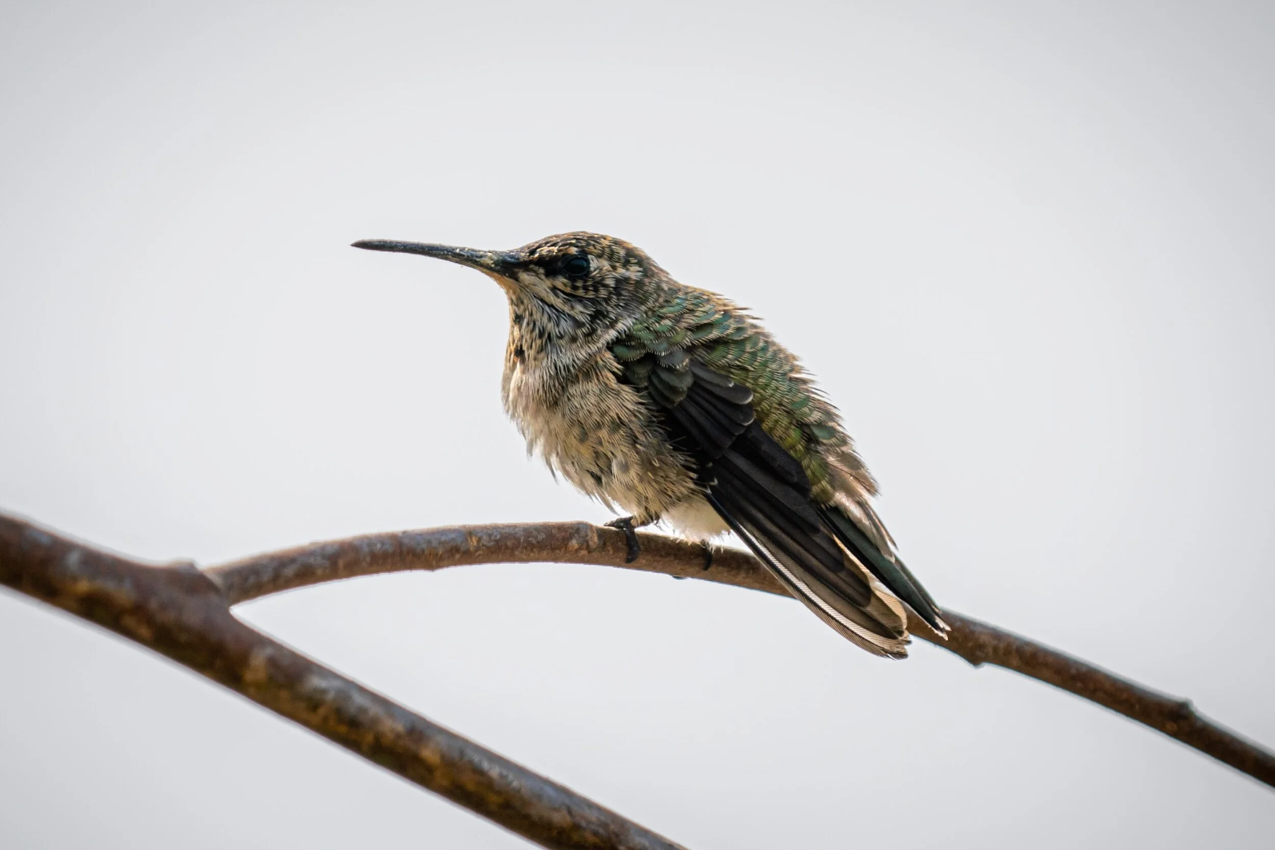 07412675-03CC-4621-BA5D-61D083BEDC06