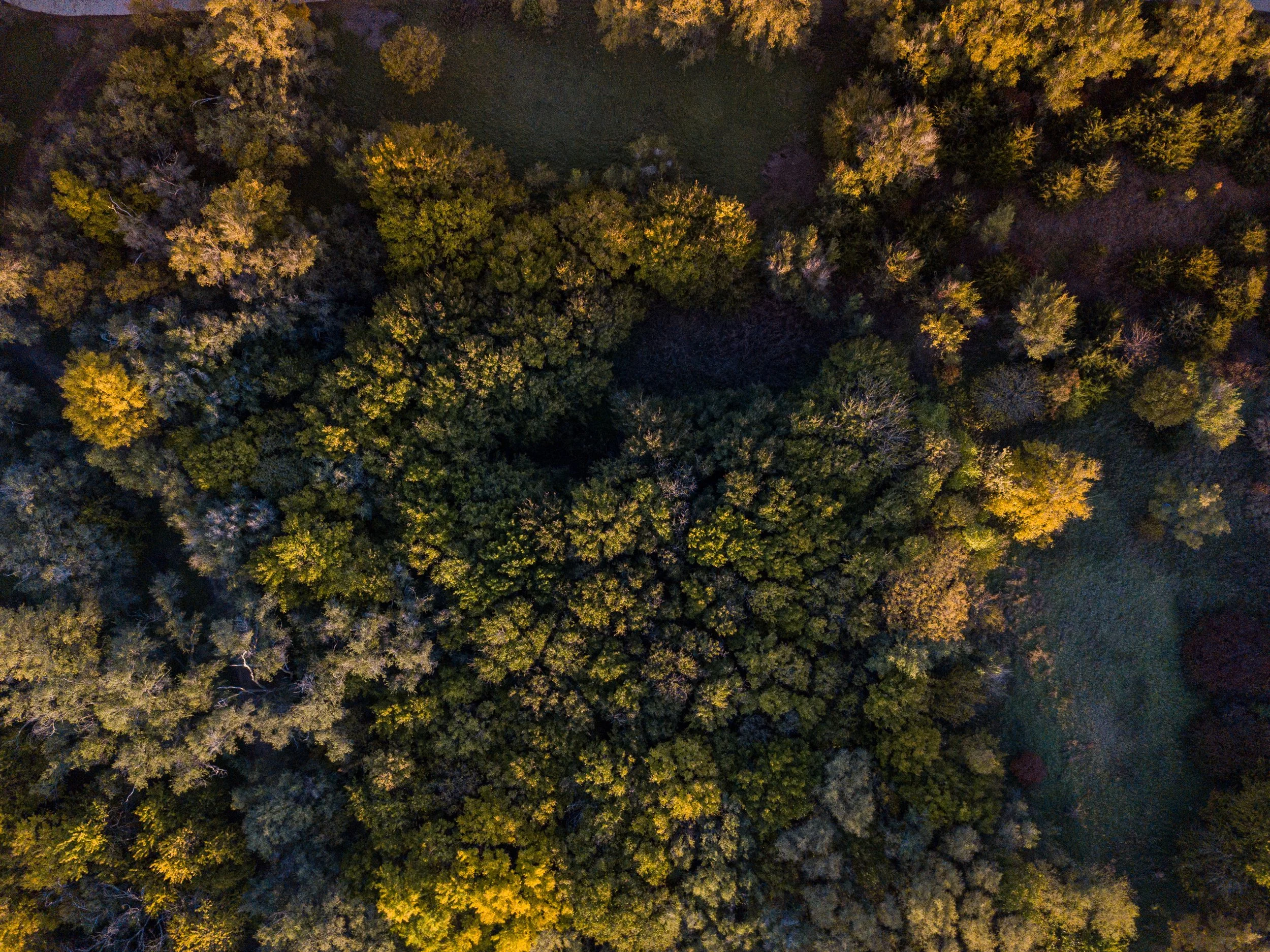 10-26-2018_NatCenterMavic_PHOTOS_drone_DJI_0015.jpg