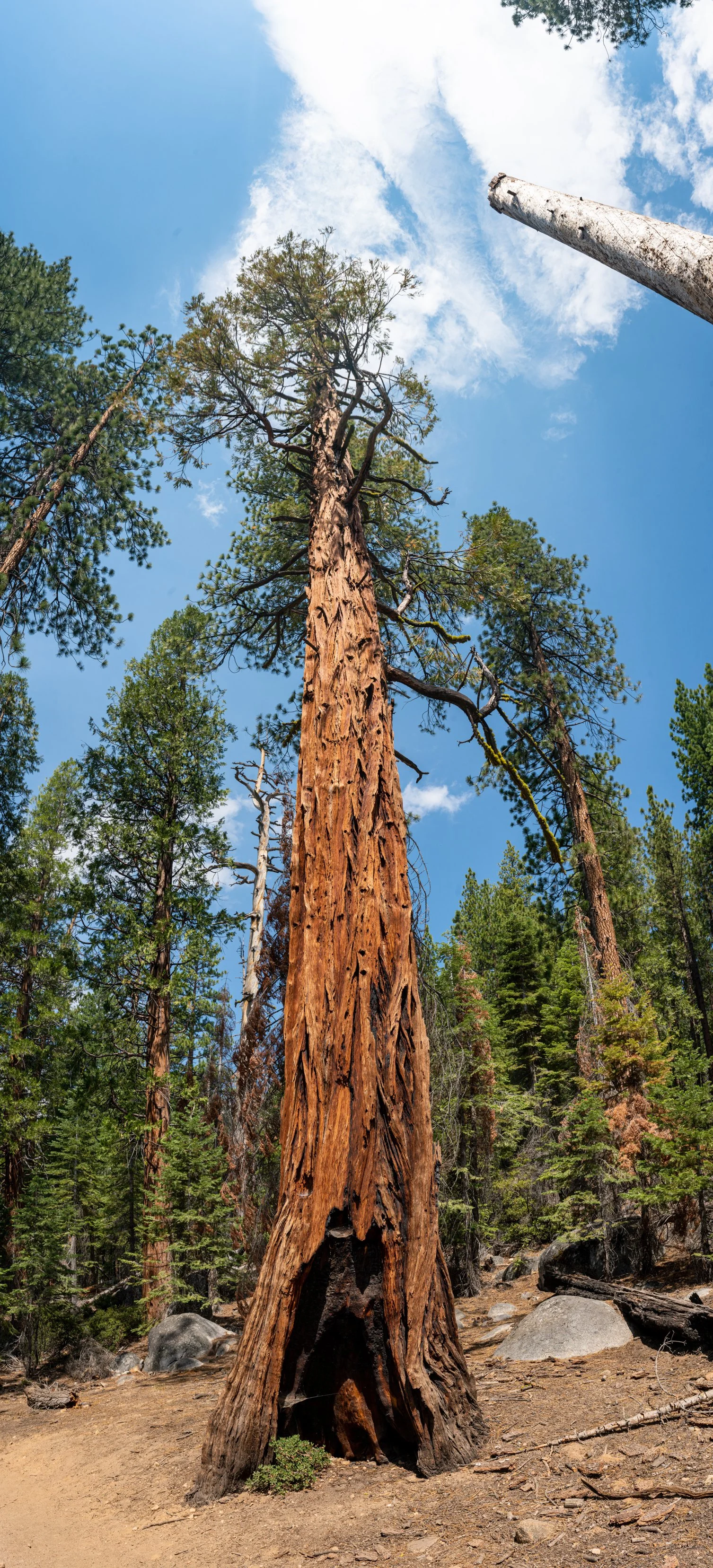CAS05913-Pano.jpg
