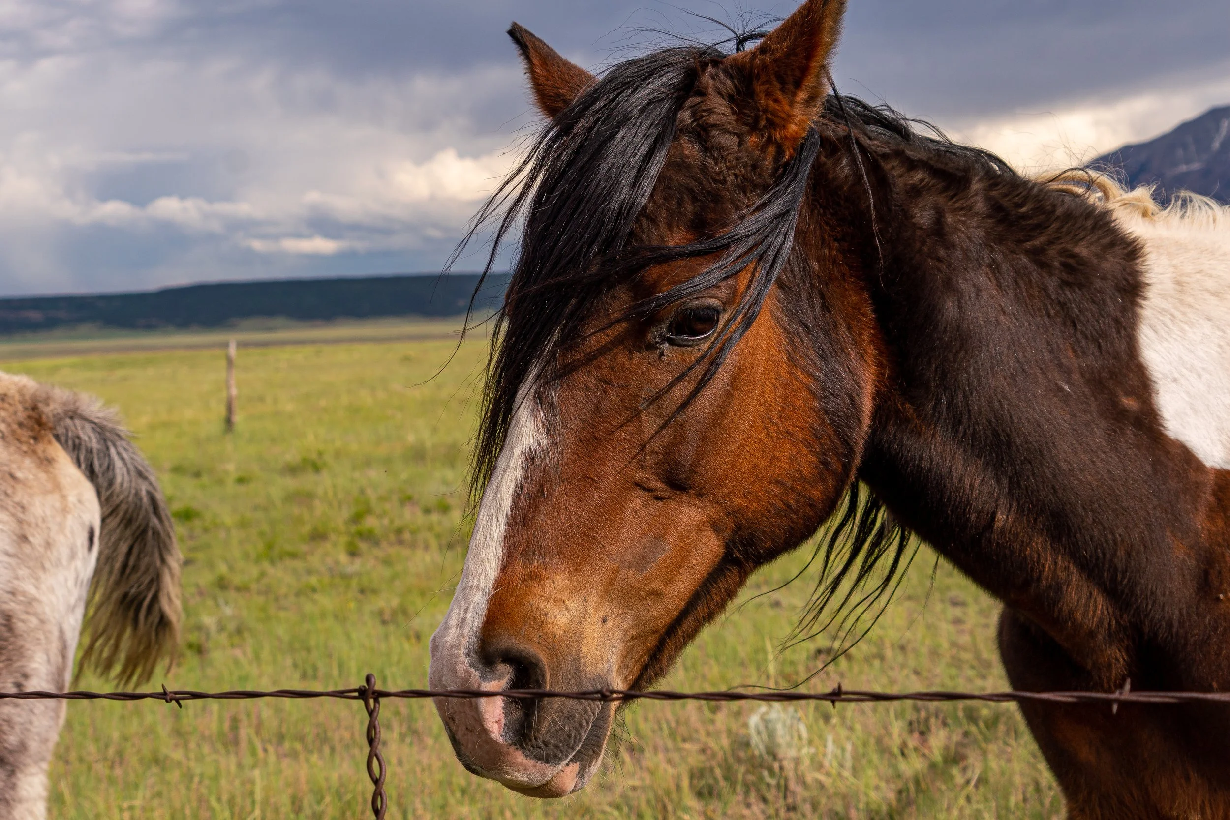 06-13-2019_Durango_PHOTOS_Sony_CS_CAS01630.jpg