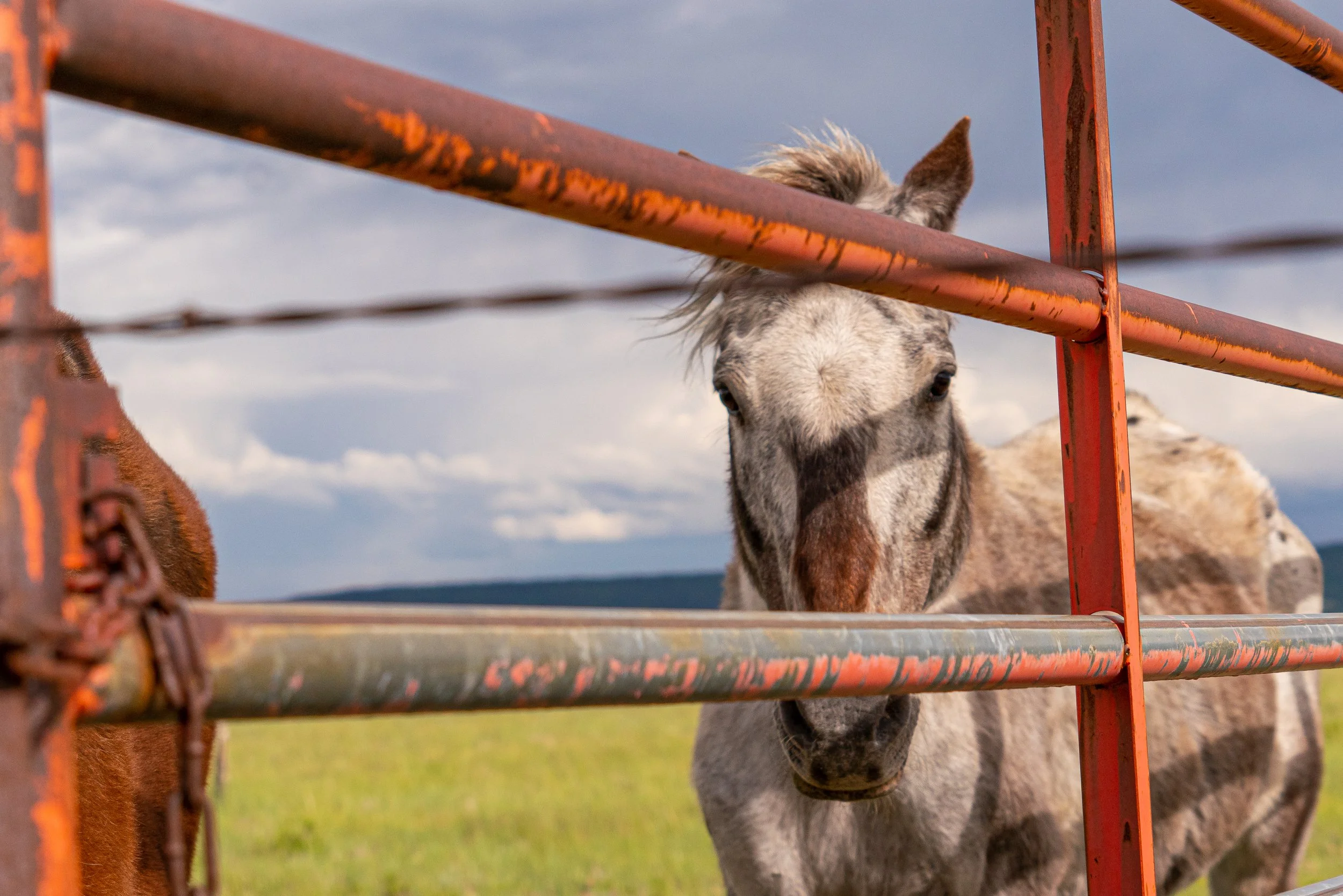 06-13-2019_Durango_PHOTOS_Sony_CS_CAS01589.jpg