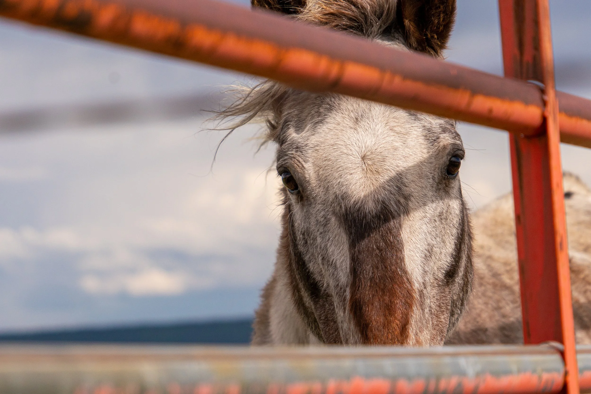 06-13-2019_Durango_PHOTOS_Sony_CS_CAS01579.jpg