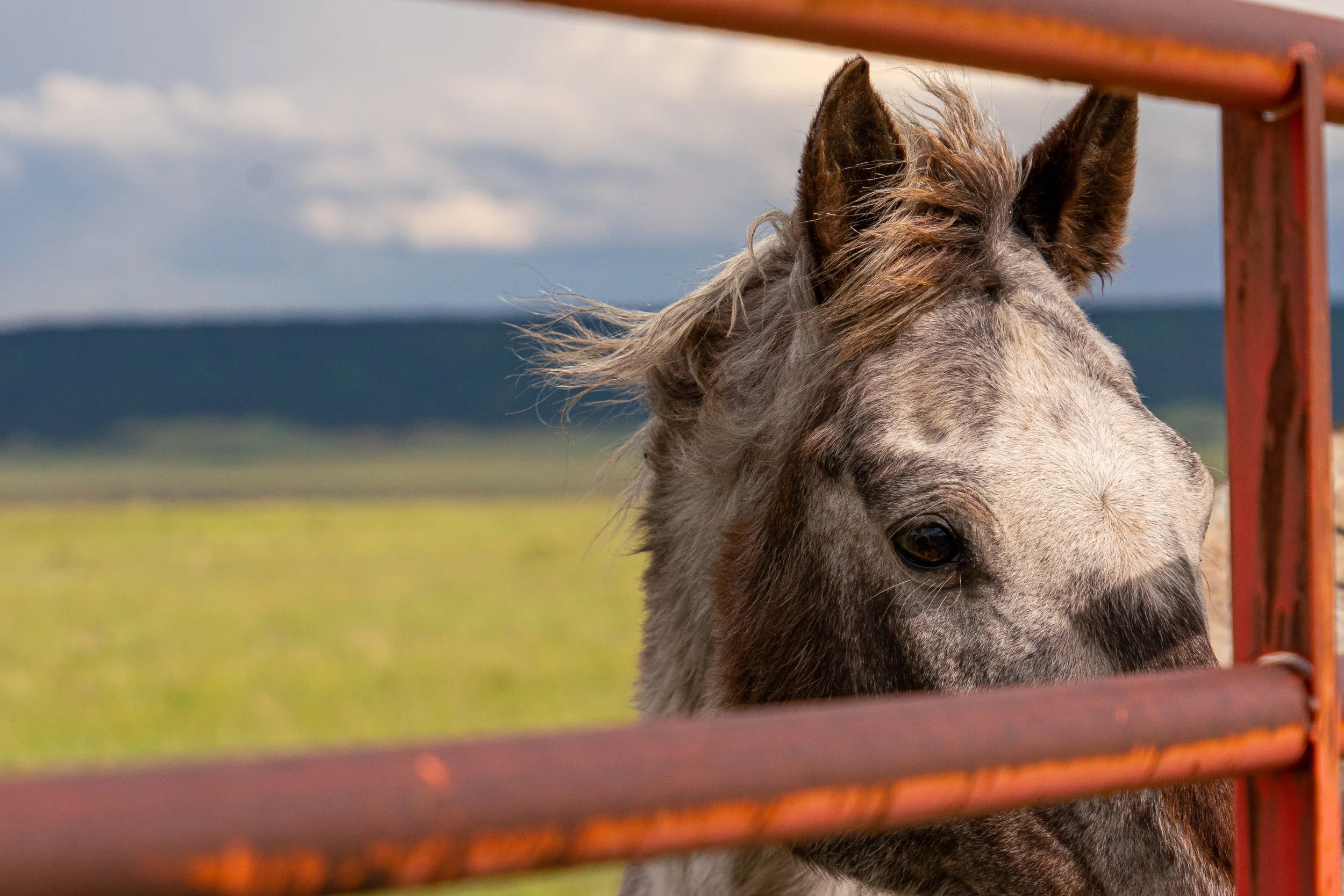 06-13-2019_Durango_PHOTOS_Sony_CS_CAS01570.jpg