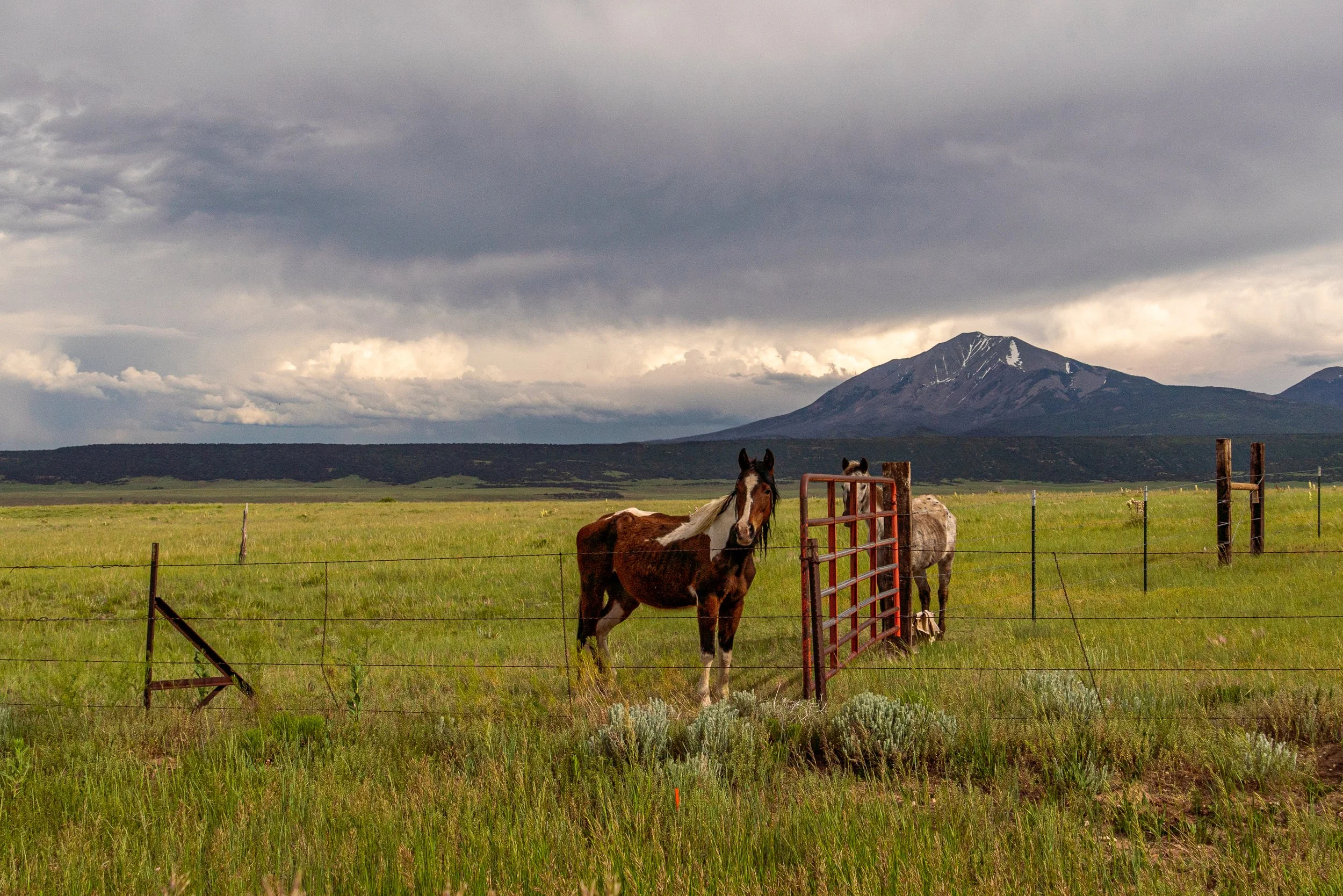 06-13-2019_Durango_PHOTOS_Sony_CS_CAS01550.jpg