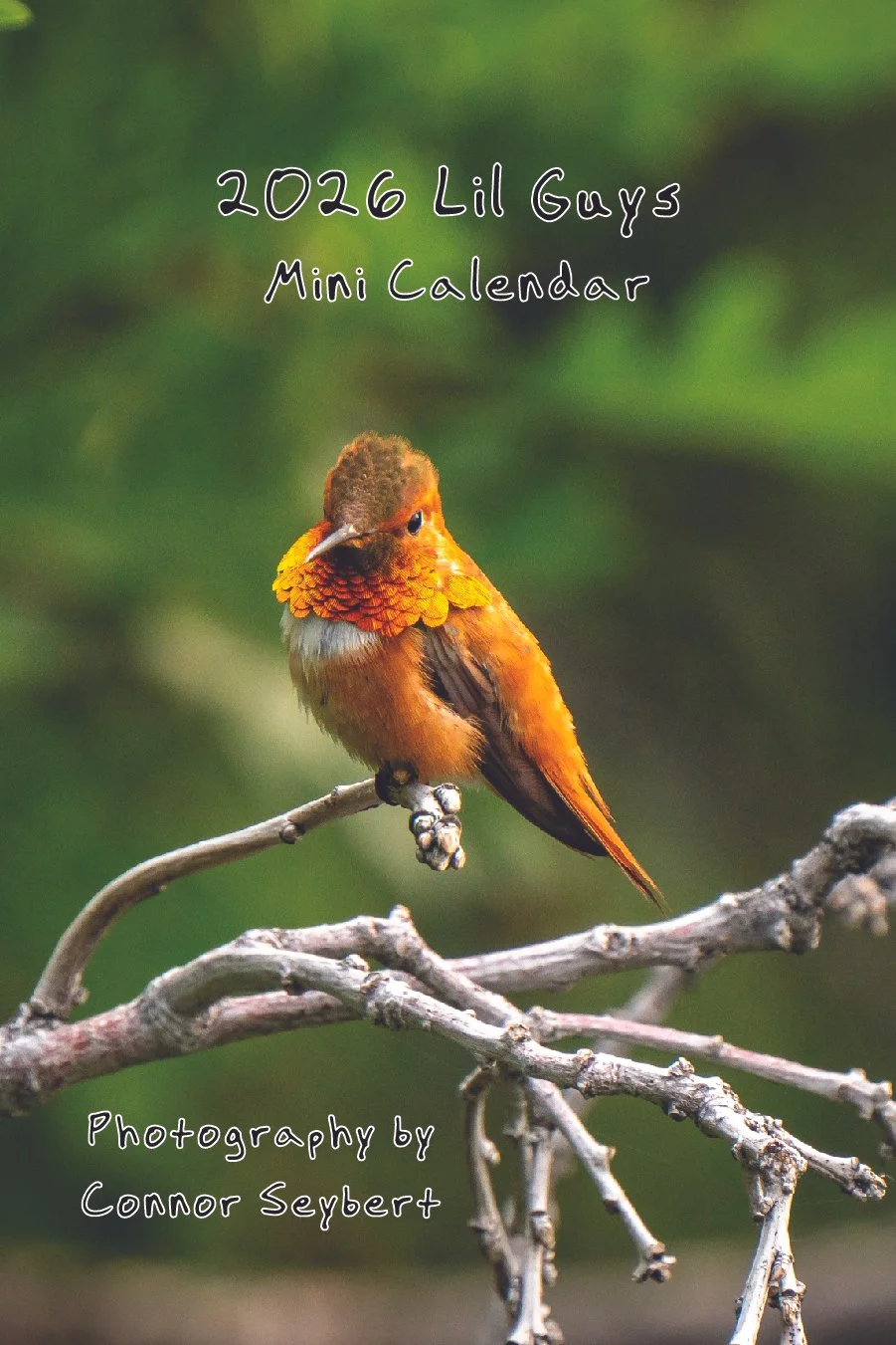 LilGuysCalCover.jpg