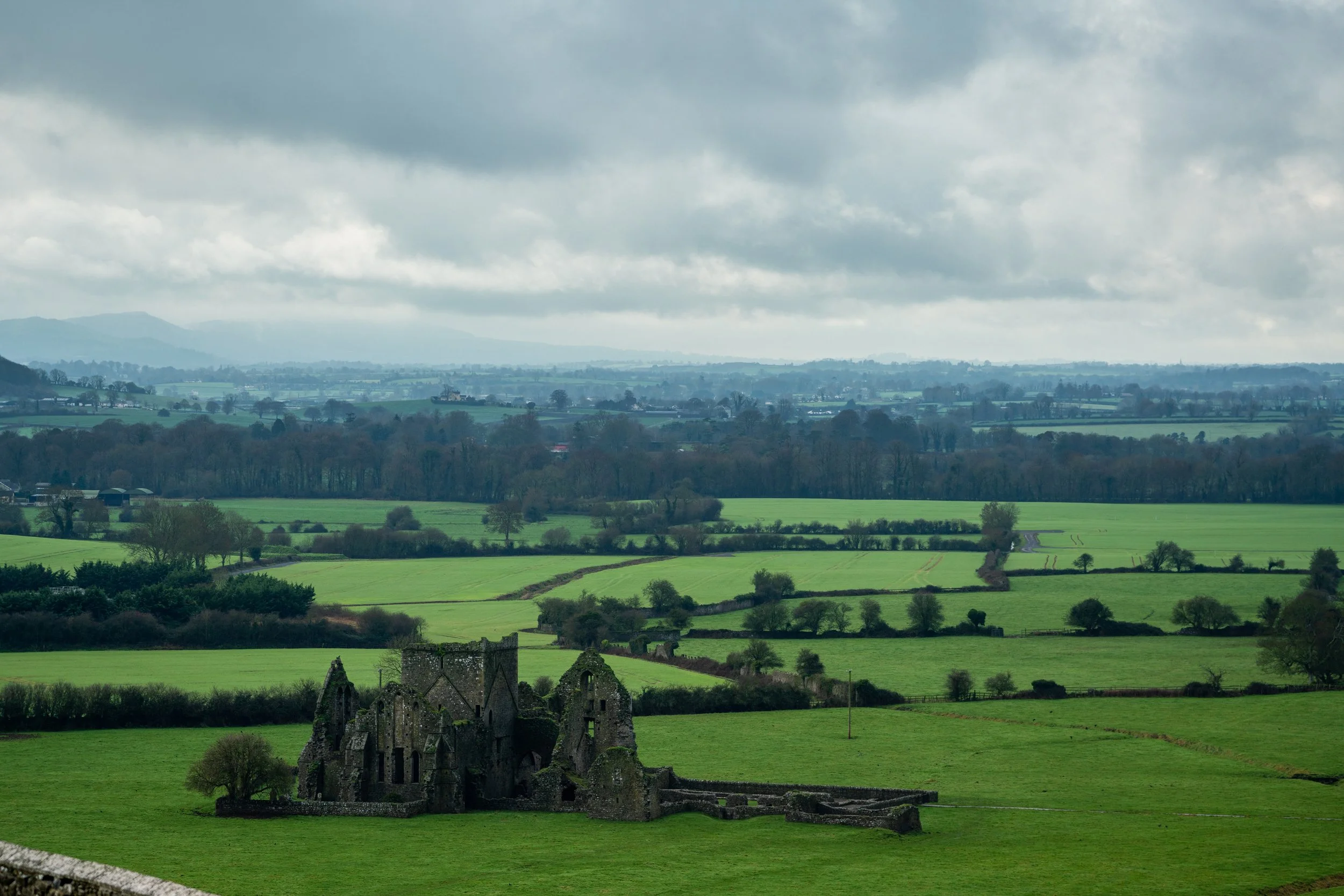 CAS05429(36x24 Print).jpg