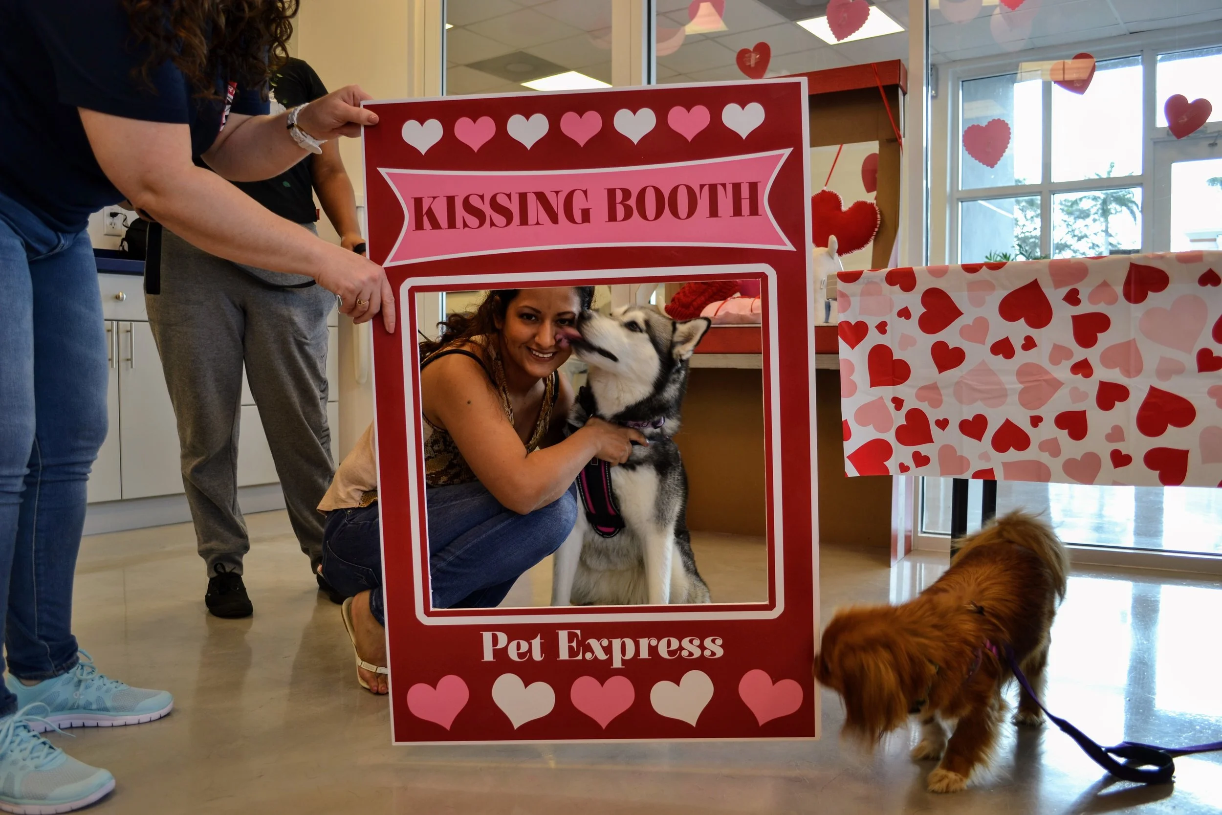 Husky Kissing Booth