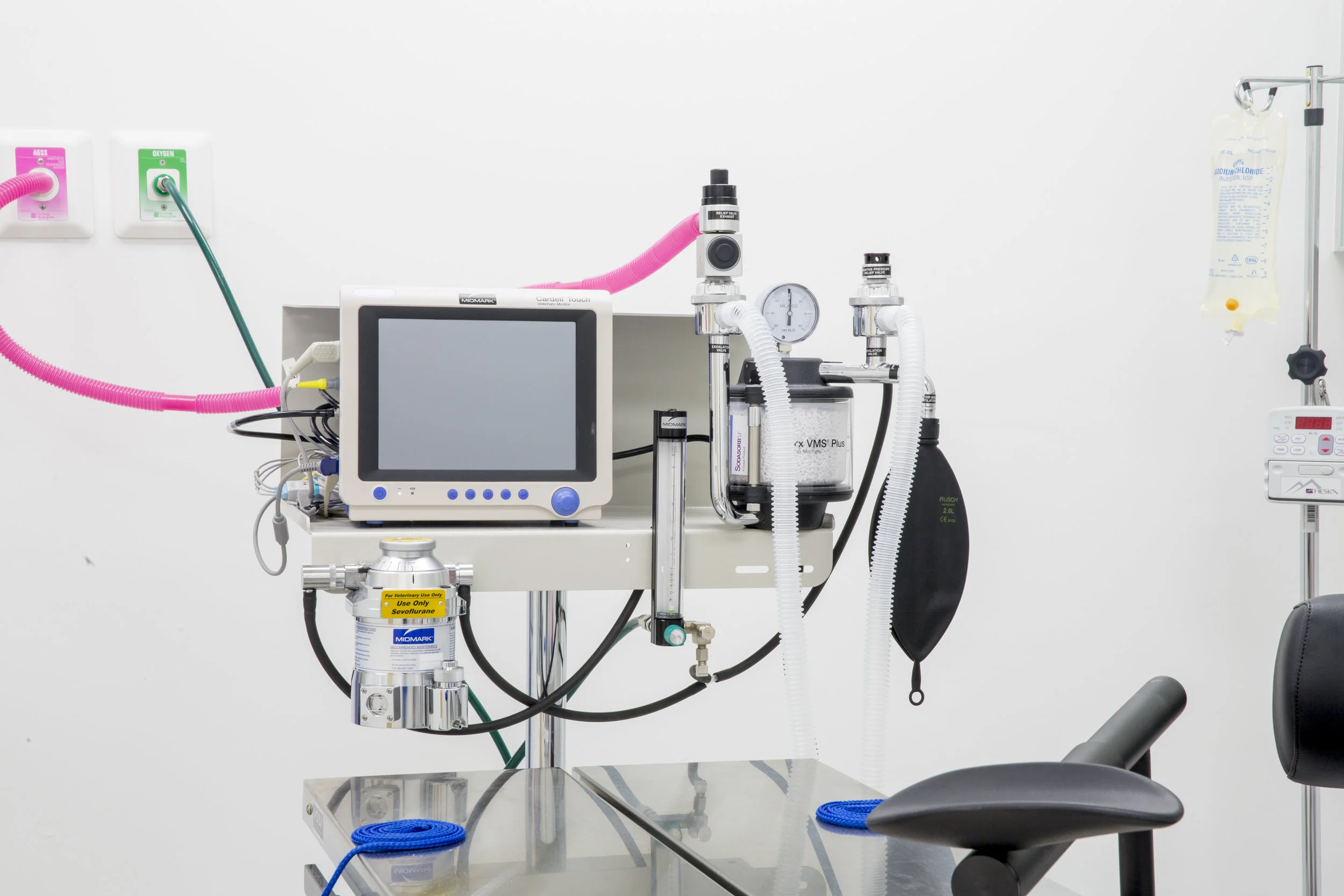 Surgery Pet Express Animal Hospital