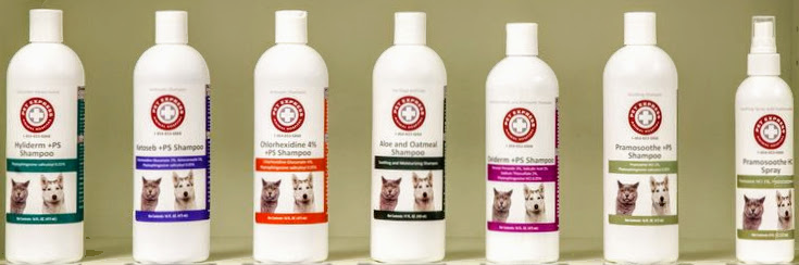 Display of selected Pet express brand low cost products.