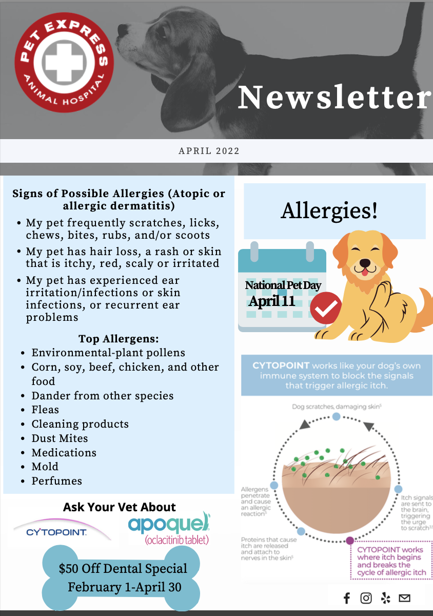 What Is The 7 In 1 Shot For Dogs