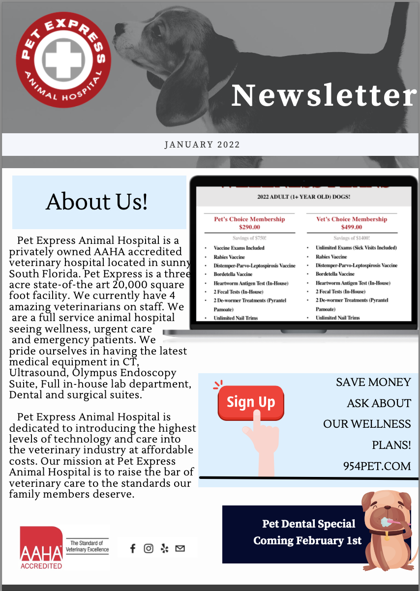 What Is The 7 In 1 Shot For Dogs