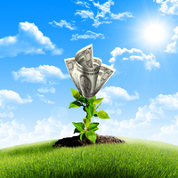 bigstock-bush-of-dollar-bills-on-the-gr-15580085.jpg