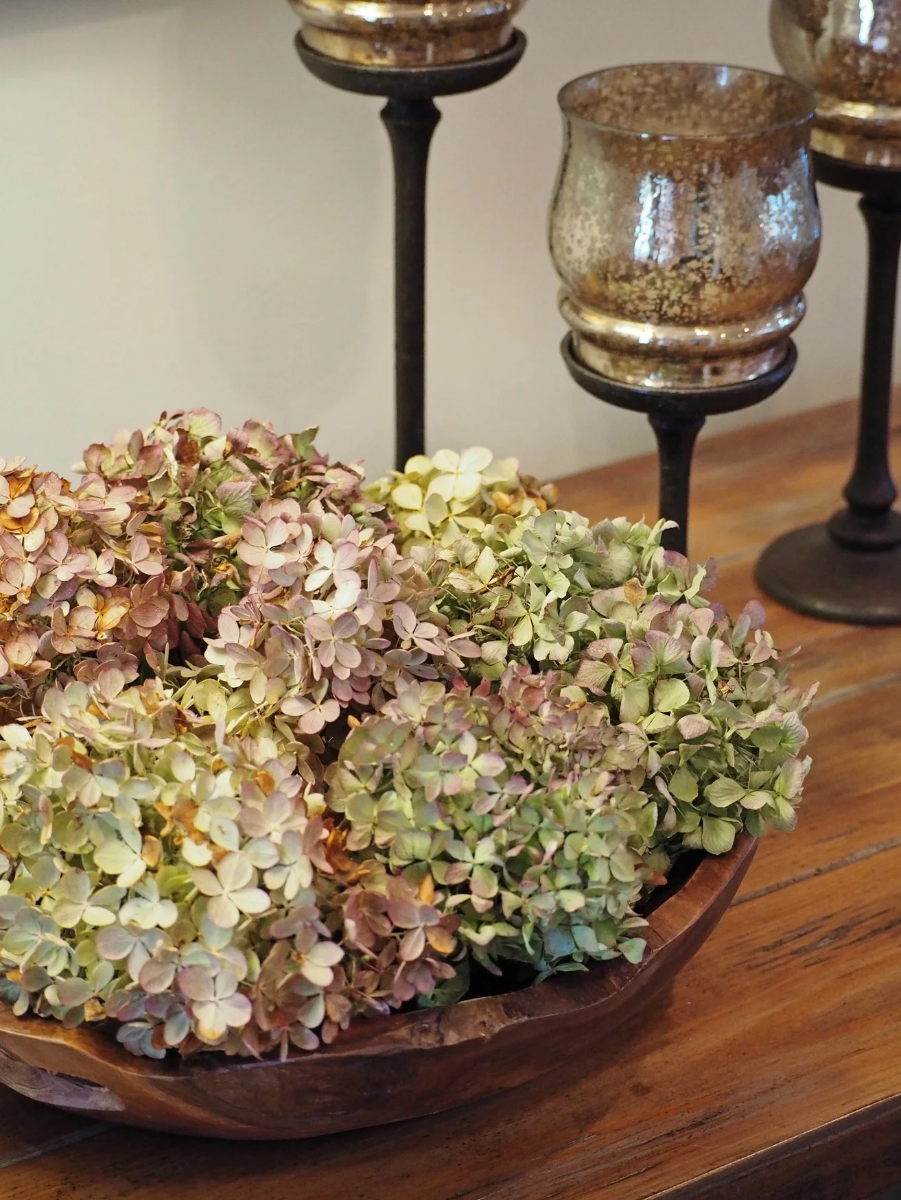 The Hydrangeas in the fall turn into the most beautiful colors!