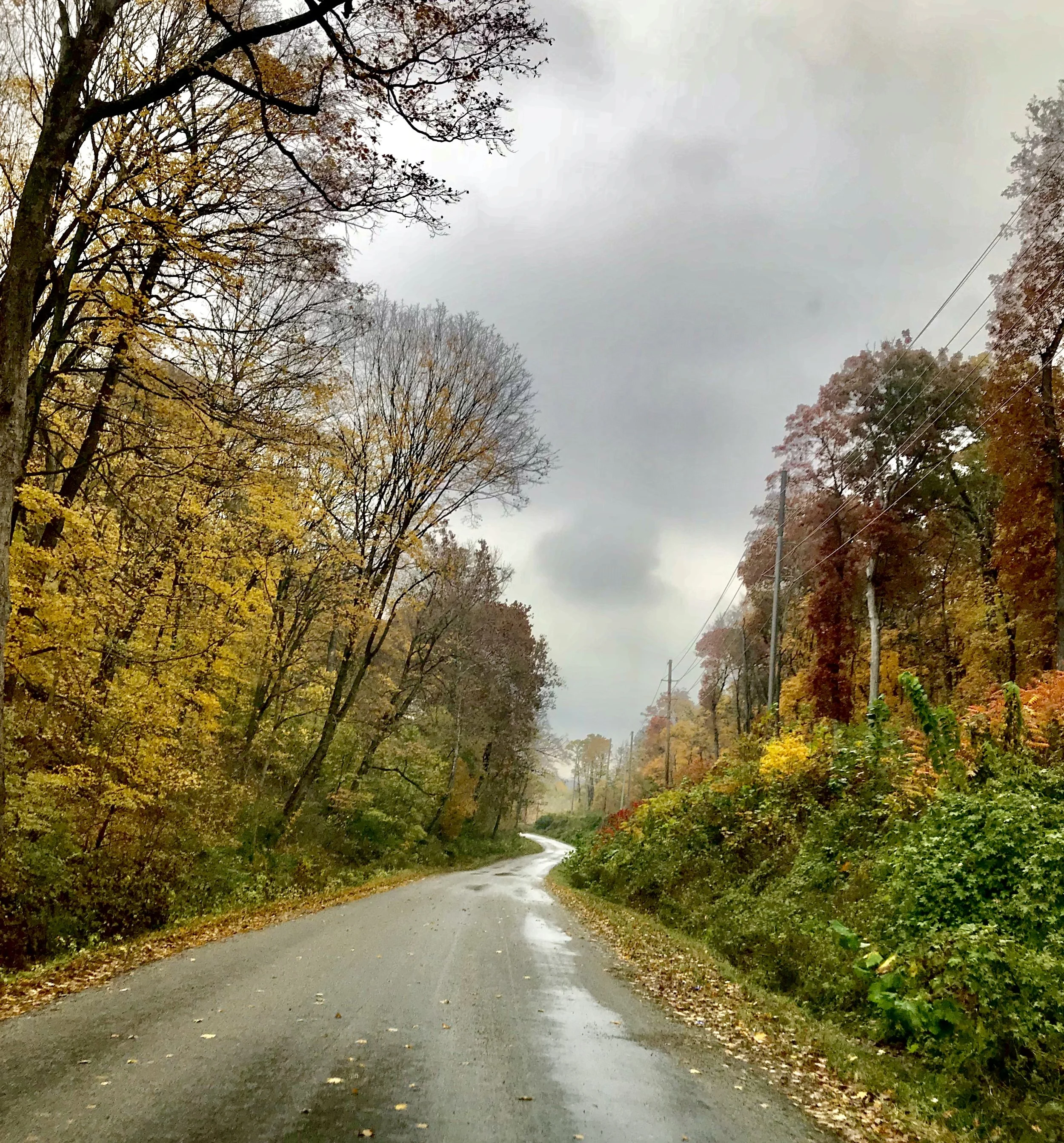 The road we live on is very beautiful as it winds it’s way down to the river bluffs.