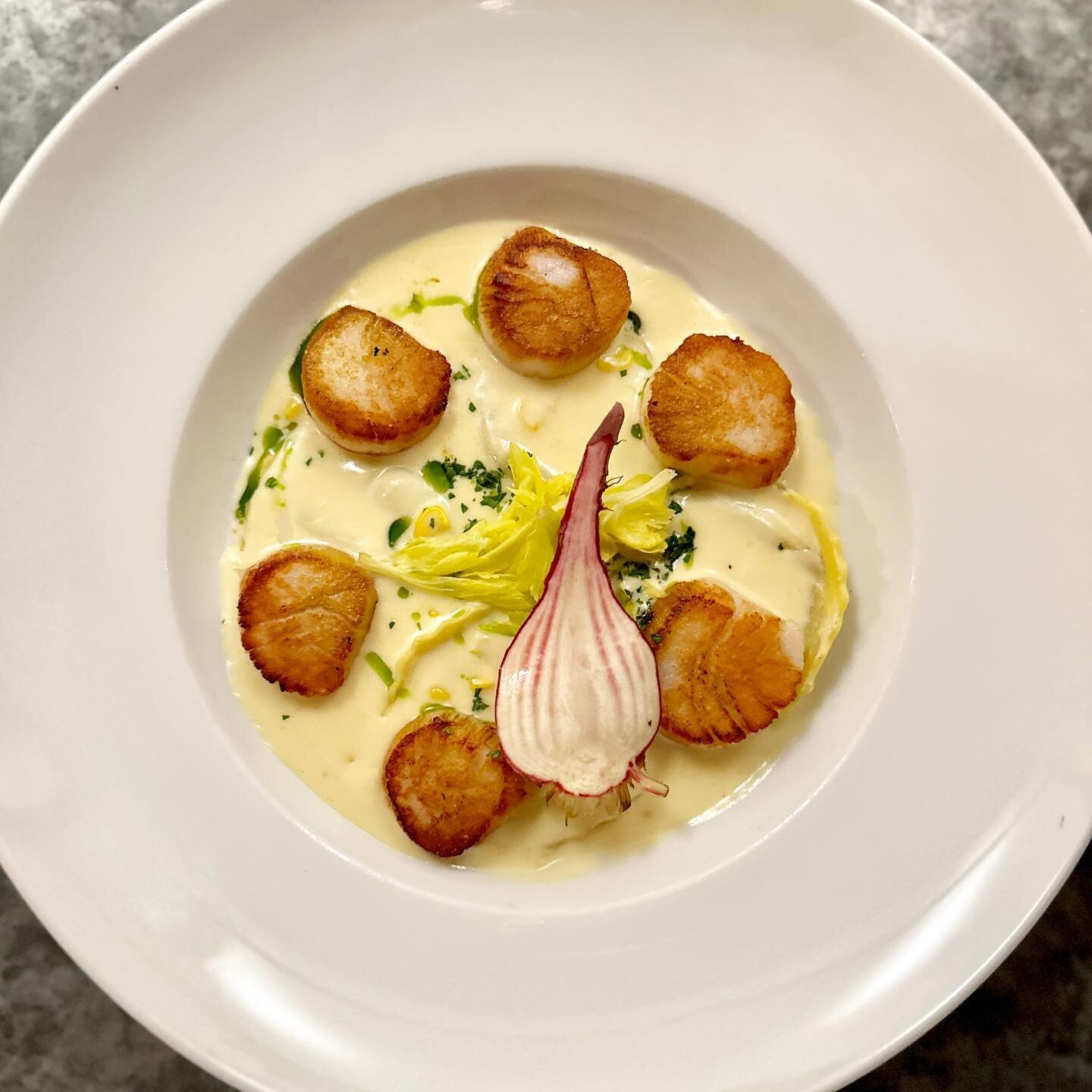 Special Tonight! 💥 @fvmidnightourscallops over grilled vegetable ravioli + sweet corn velout&eacute; - OUTSTANDING! ✨

Join us tonight starting at 5pm 🥂