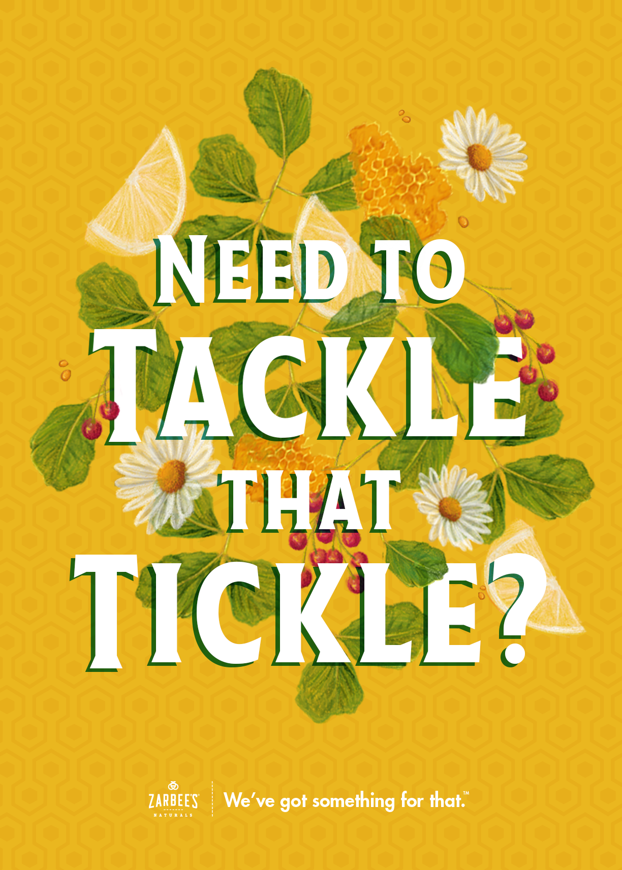 Concept Art / Client: Zarbee's Naturals