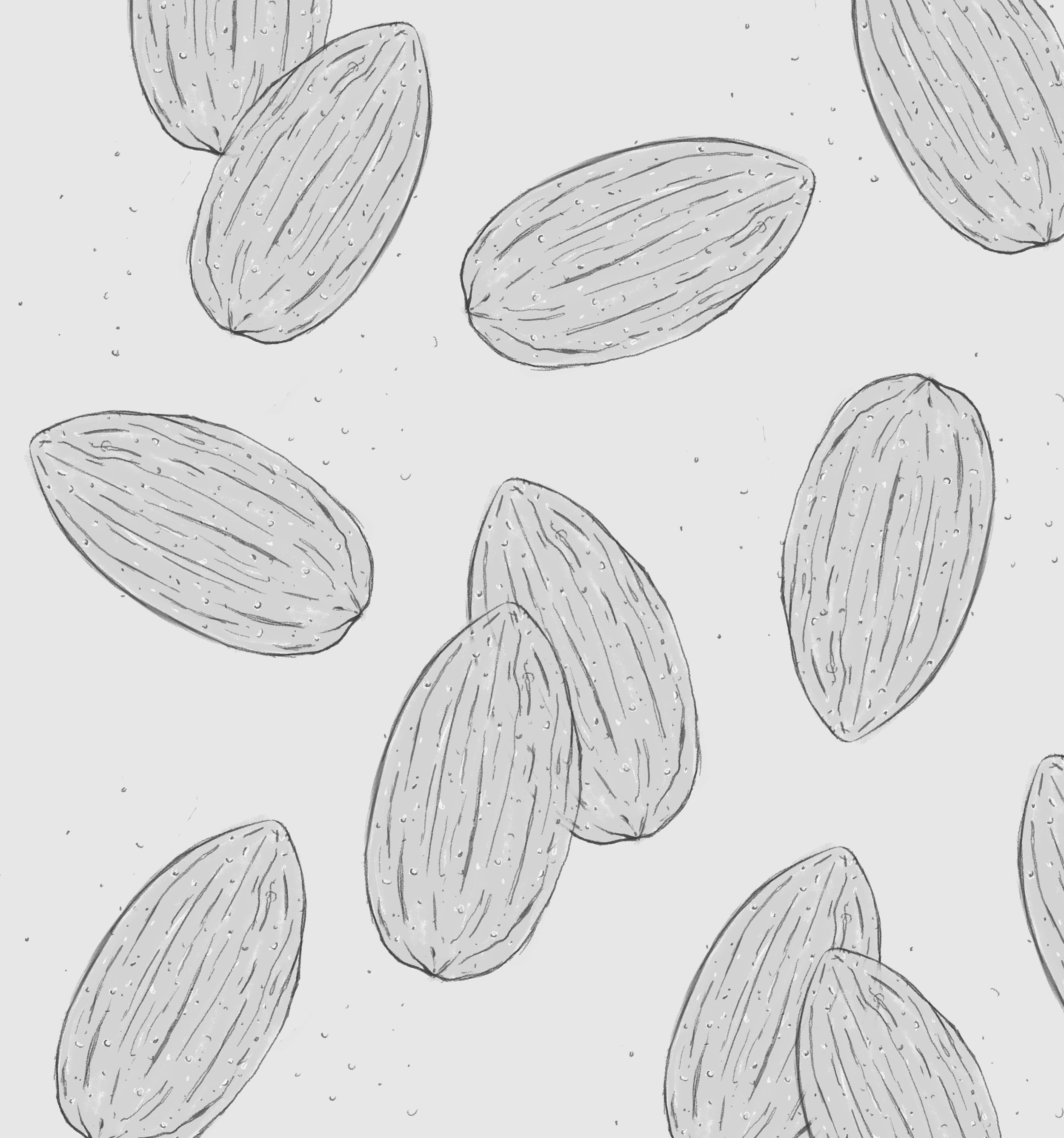 Pattern Exploration / Client: Whoa Almonds