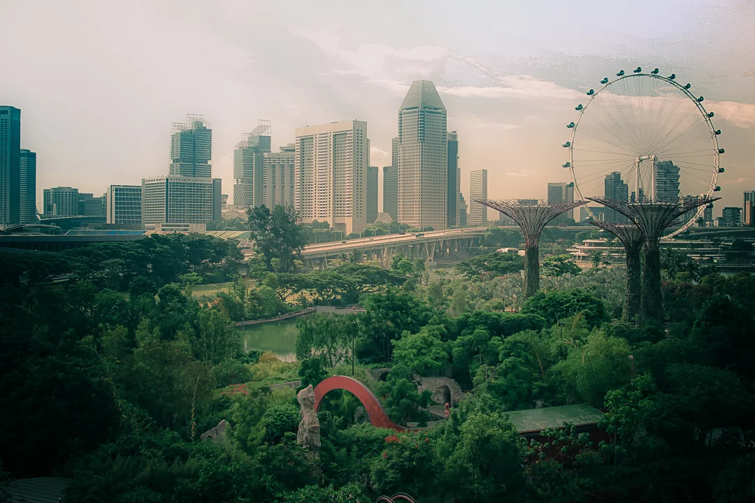 sg (2 of 4).jpg