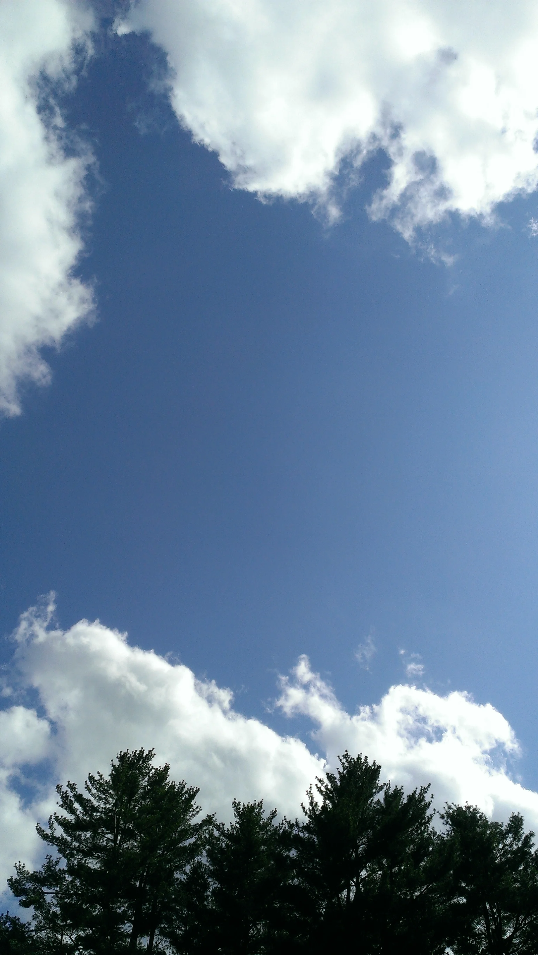 2013-05-12 16.00.32.jpg