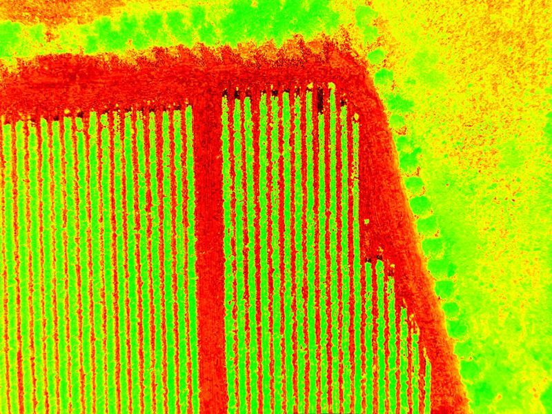 Pretty colors! Red means stop planting and green means go planting... right?