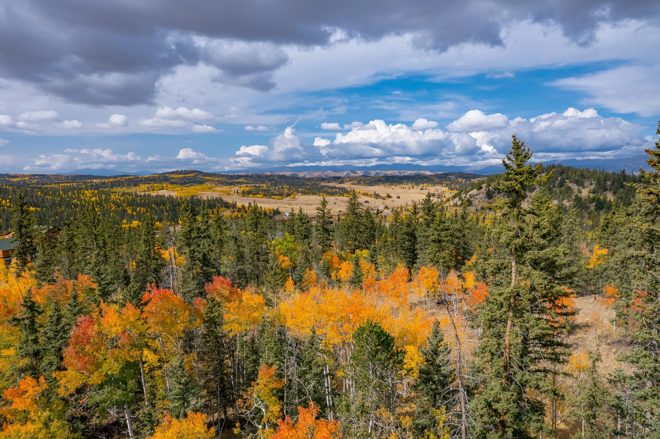 Land photography -Elevated Standards-