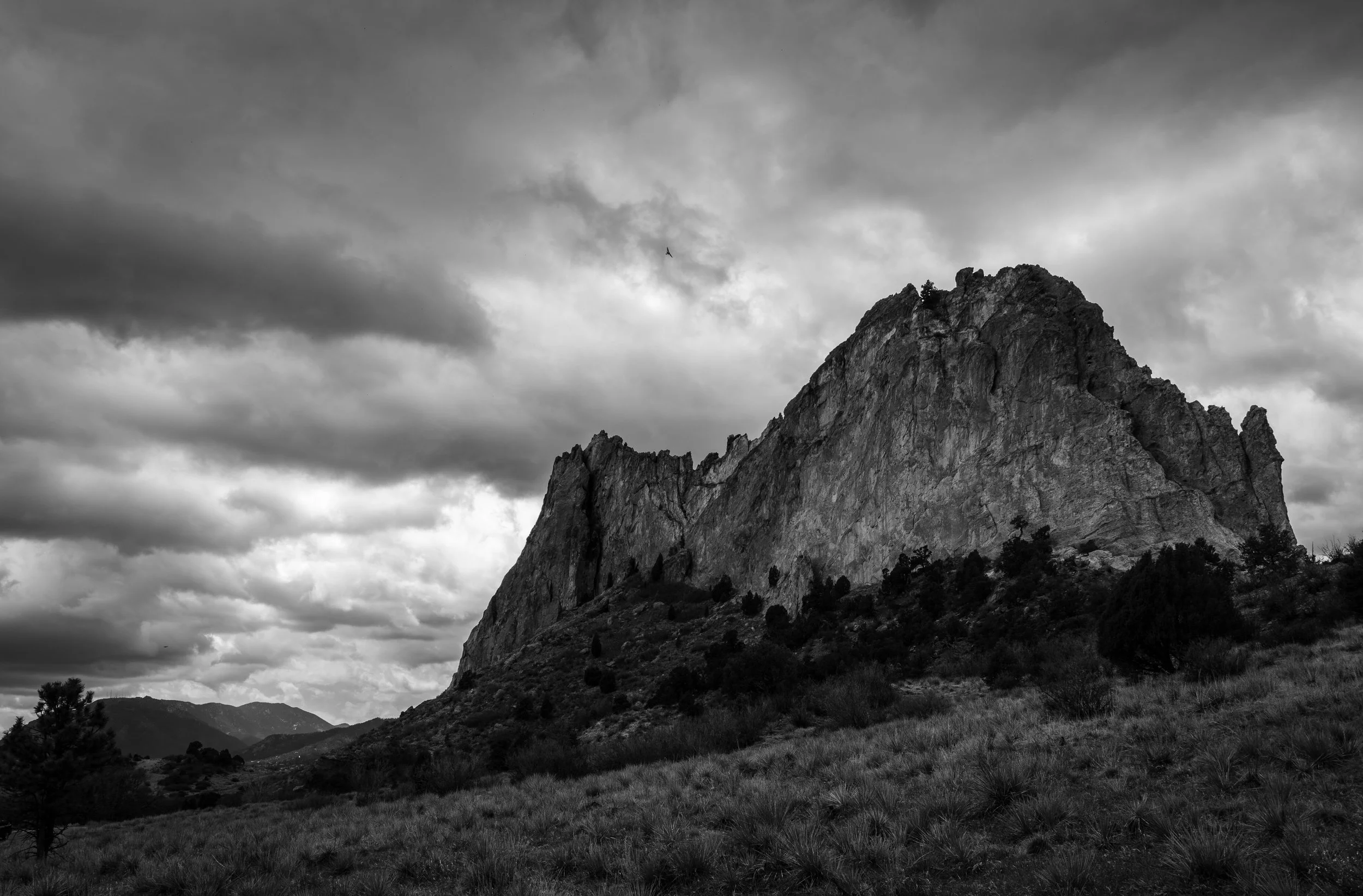 A7iii catch up edits (10 of 19).JPG