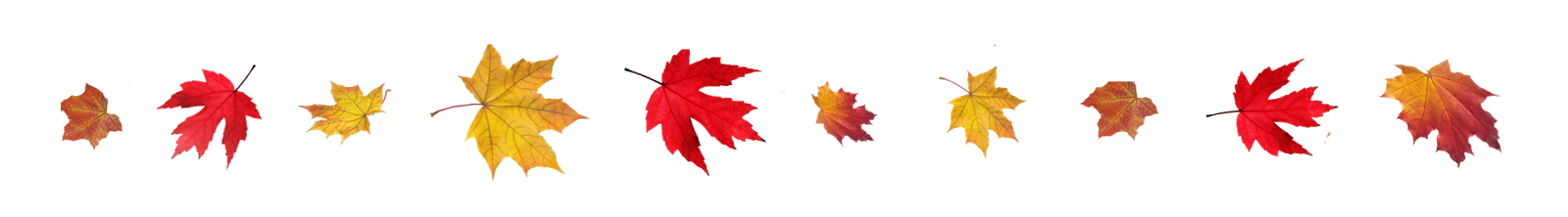 Transparent-Fall-Leaves-Border.png