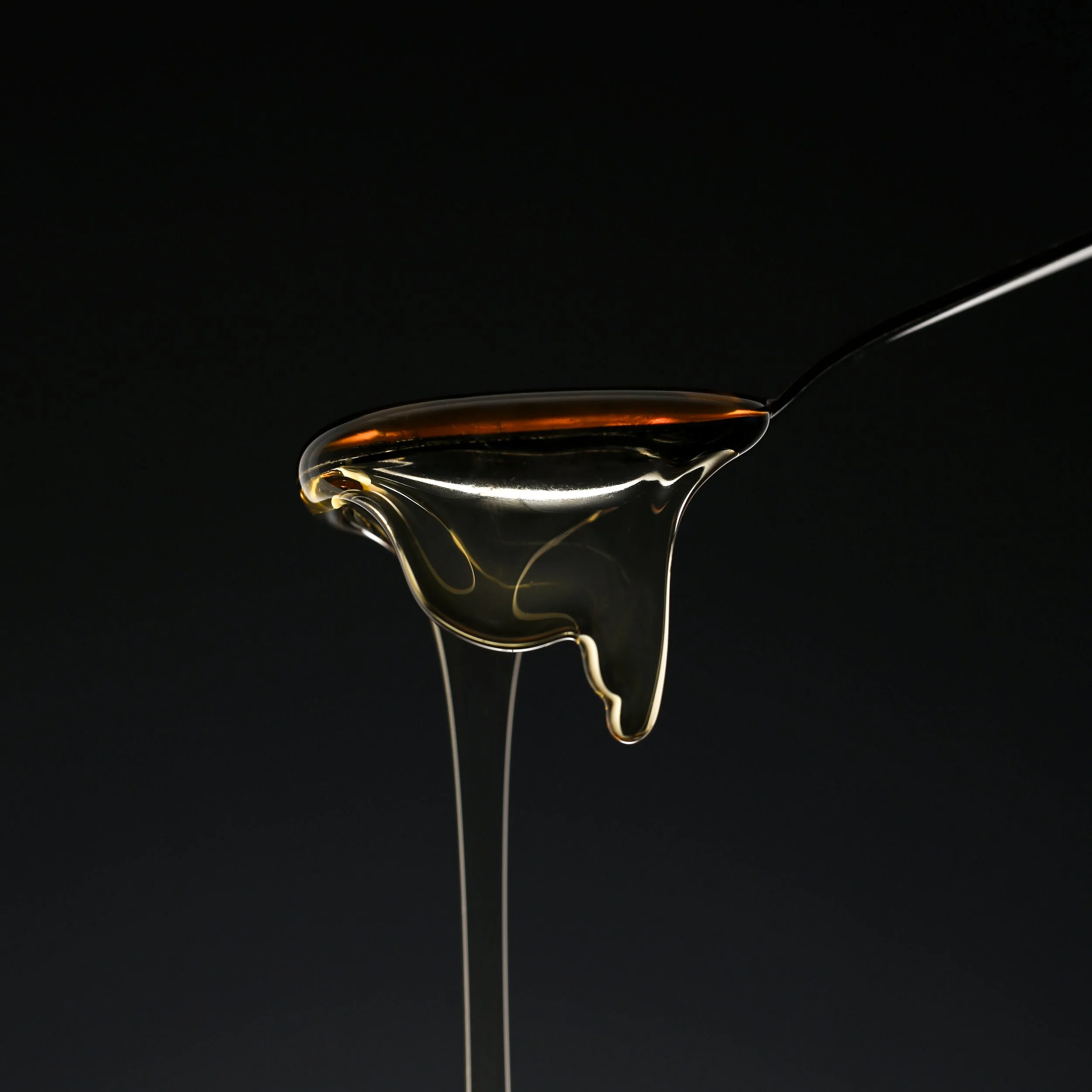 honey (macro)-07.jpg