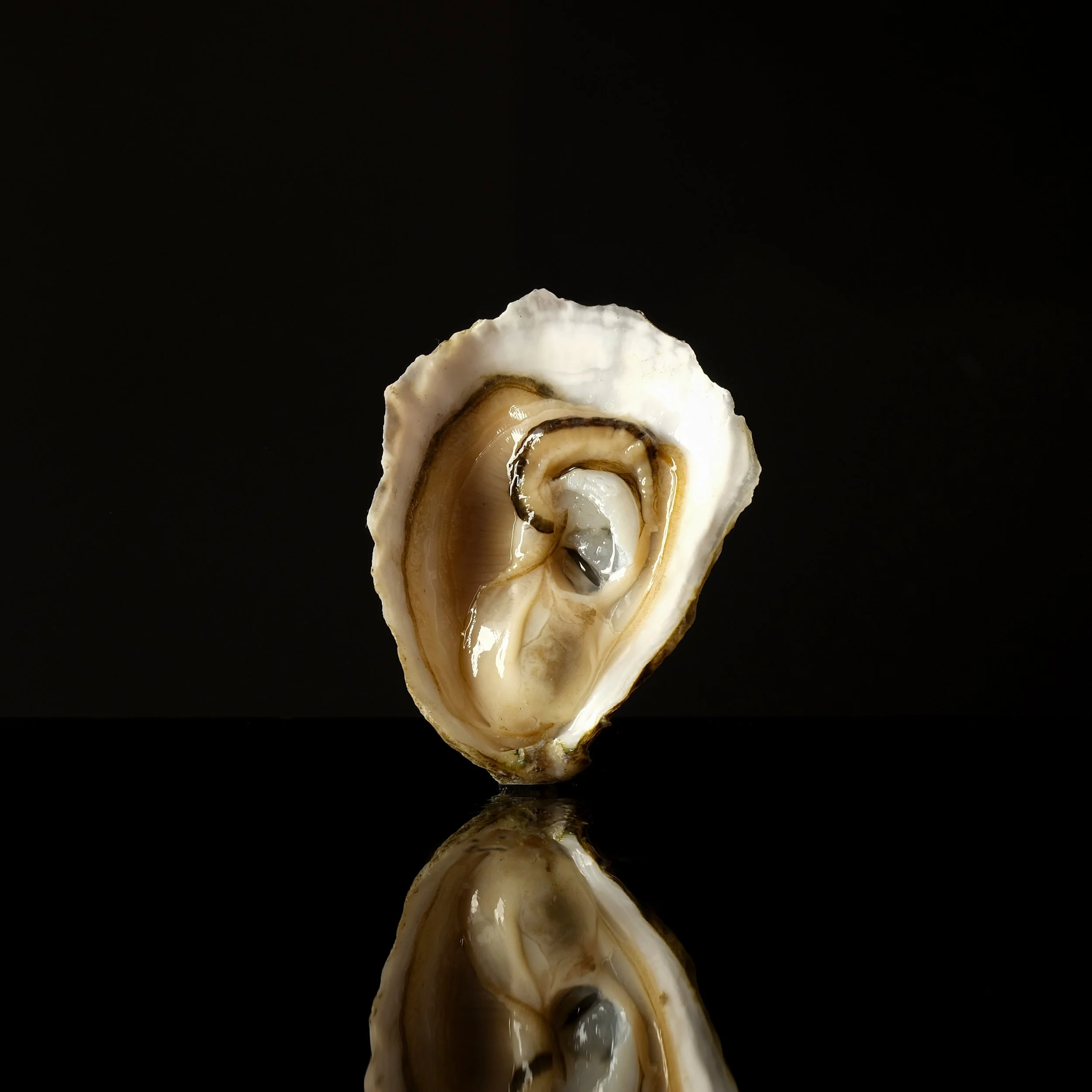 Epicurean Campaign - Dry Farm Wines