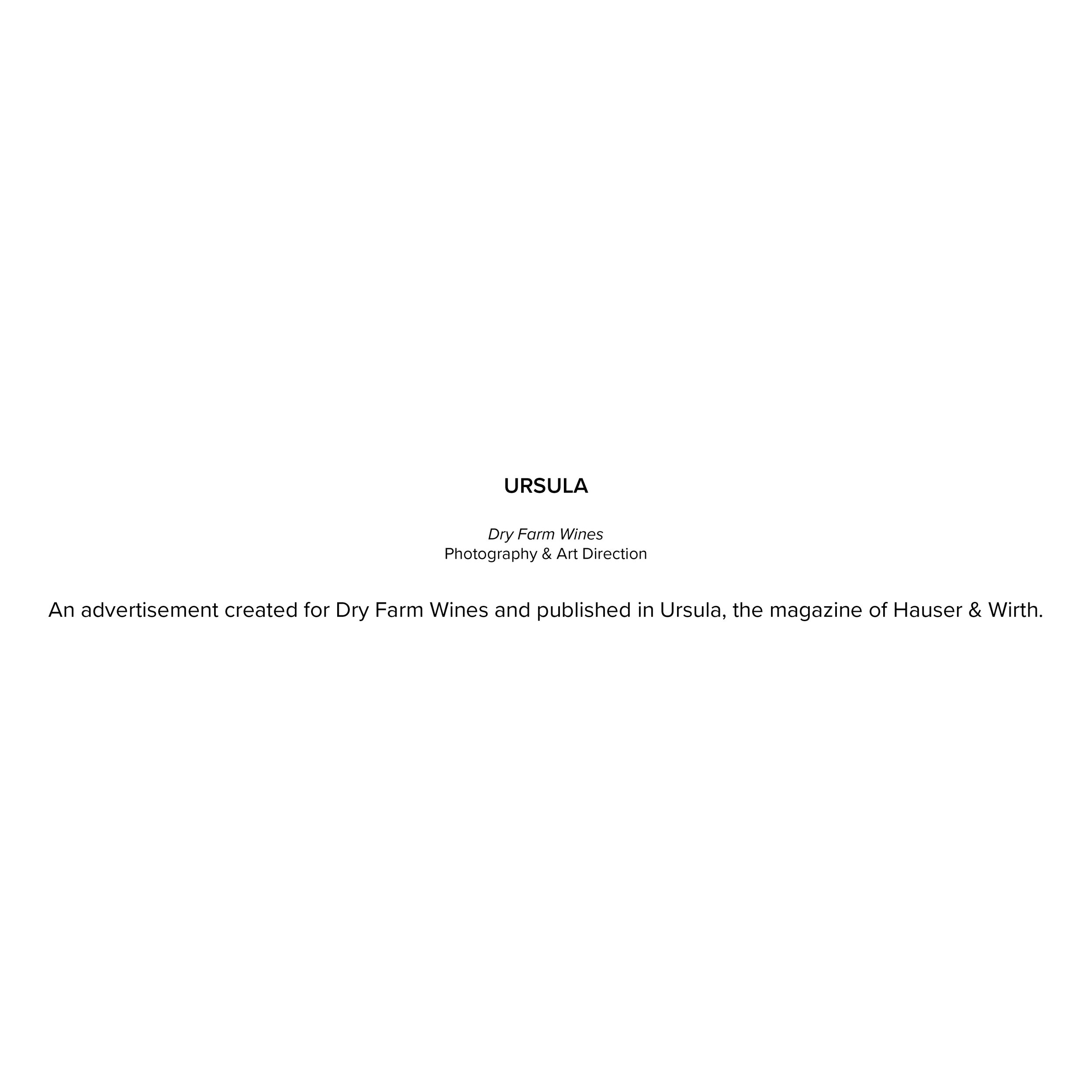 title blocks - website.jpg
