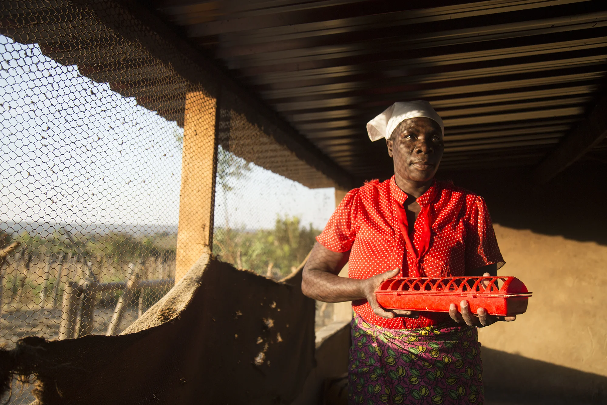 September 5, 2017: Regai, a member of Sungano group, cleans the group's chicken coop. - For All We Can