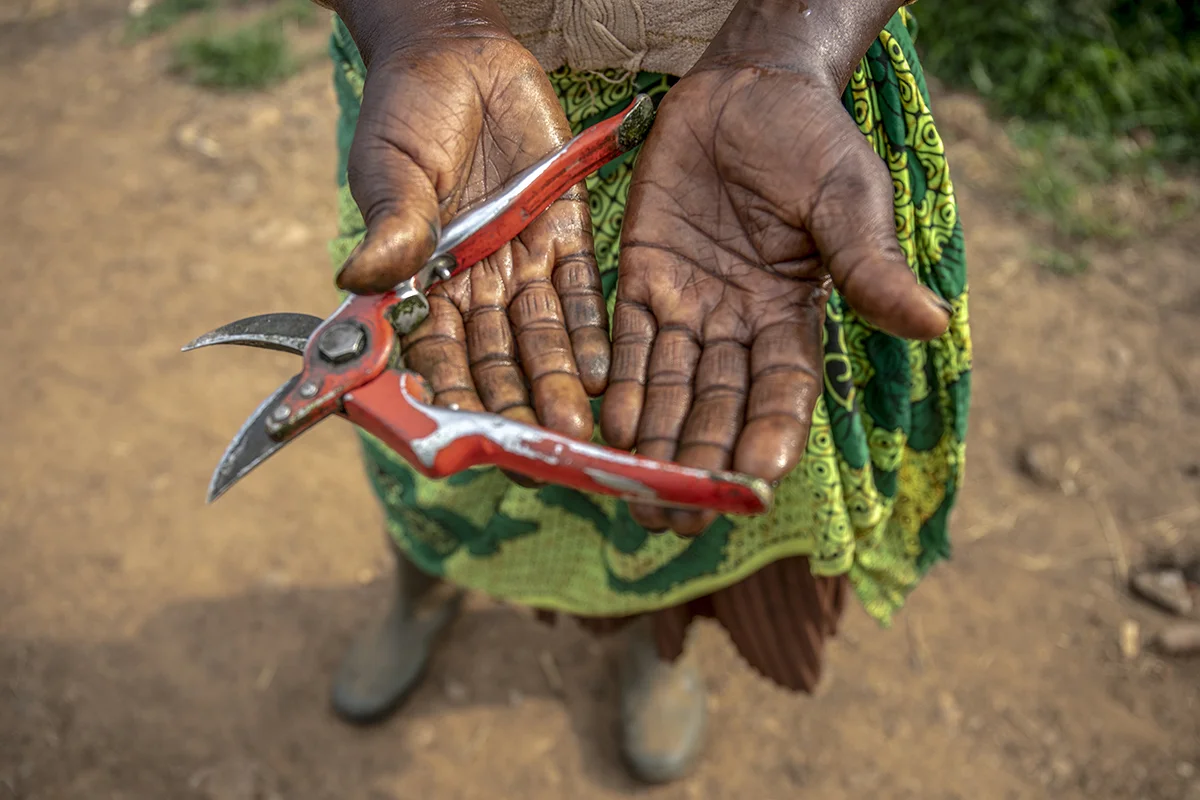 October 20, 2018: “Since I started working at the farm, I have never received protective gloves to use when harvesting flowers. We use our bear hands and over time the flowers cut through the skin and leave dye on our hands.” - For HIVOS