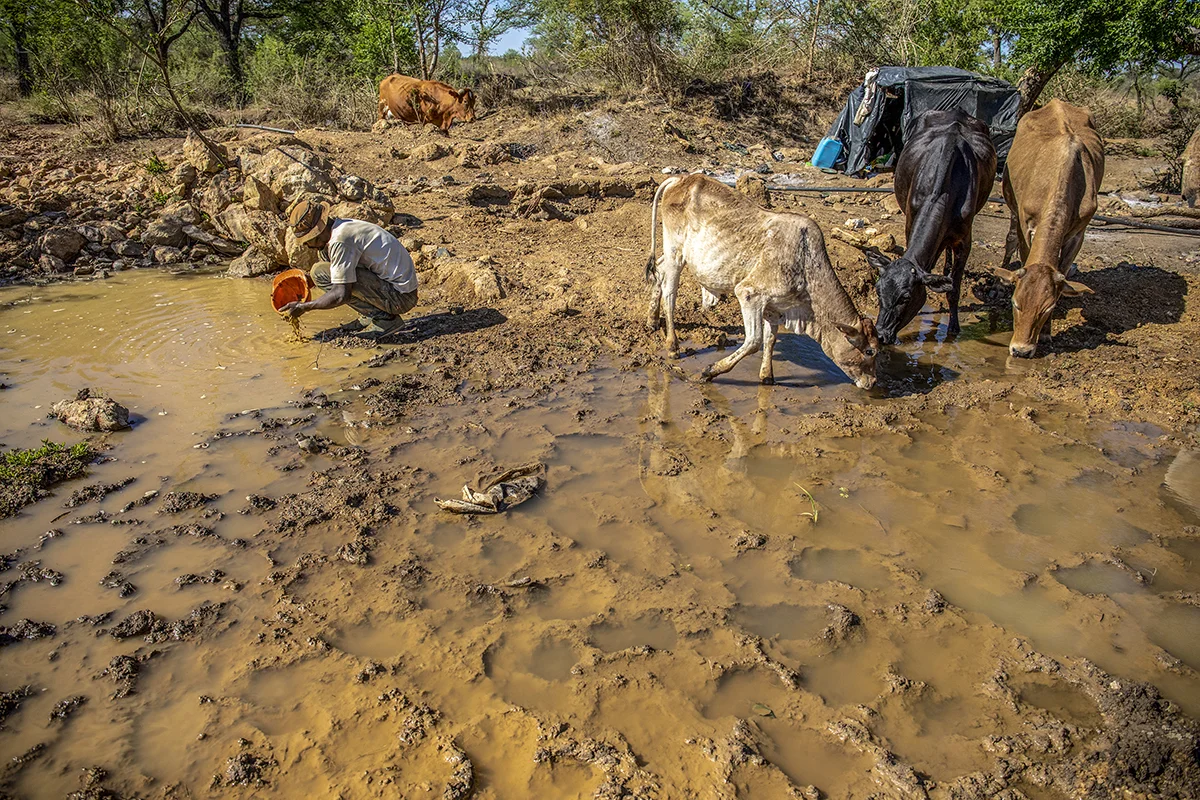 November 10, 2018: An artisanal miner sifts through crushed ore powder to find gold particles at Ngaka, Umguza district in Matabeleland North province 484 kms from Zimbabwe’s capital city, Harare. According to Zimbabwe National Statistics, mining accounts for 50% of the country’s forex earnings. - For Bloomberg