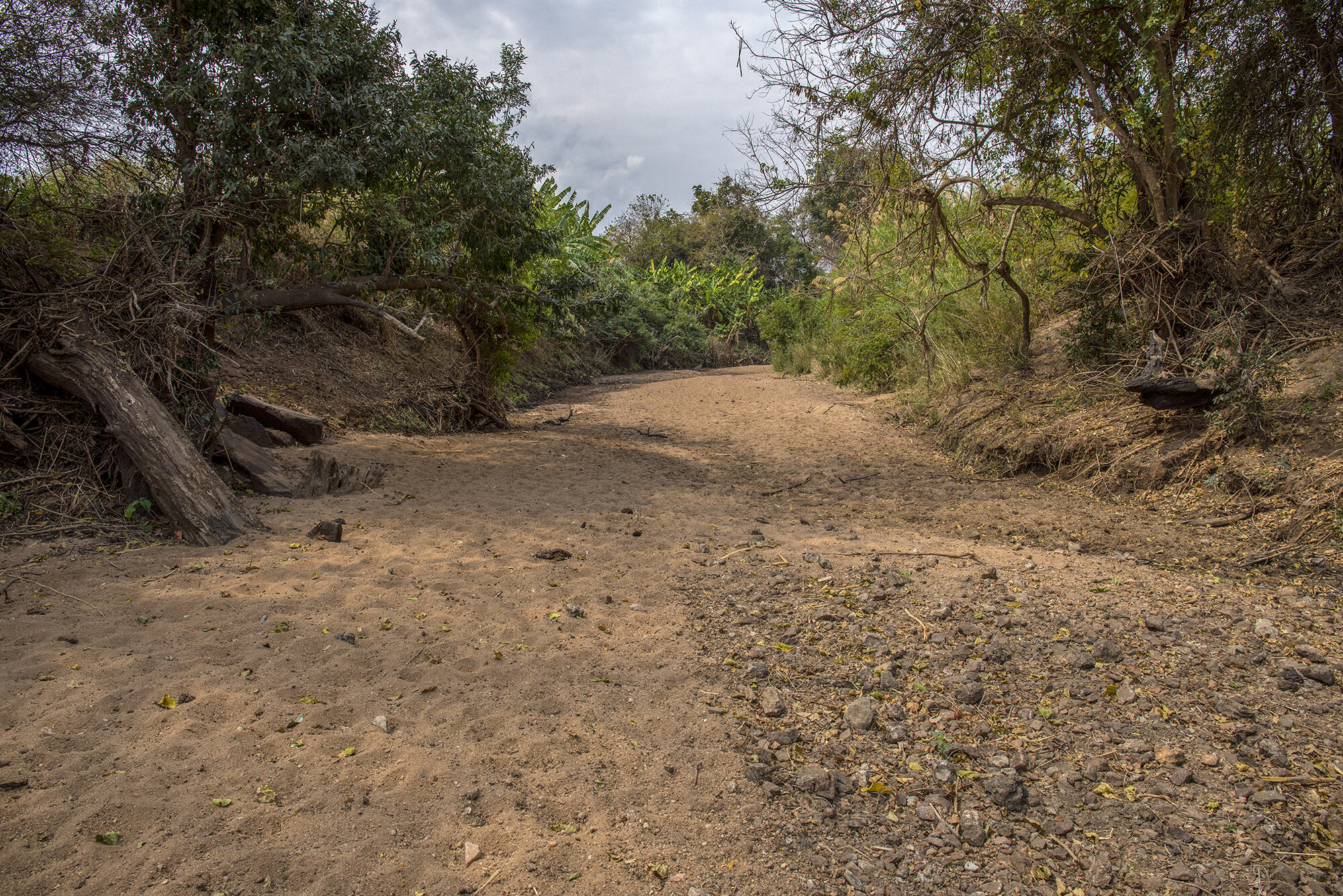  Kapoche stream near Chinyama village in Zambia. Growing up in the 30s and 40s, William Phiri remembers catching fish from the stream with his younger brother Anderson. Now the stream has dried up. 