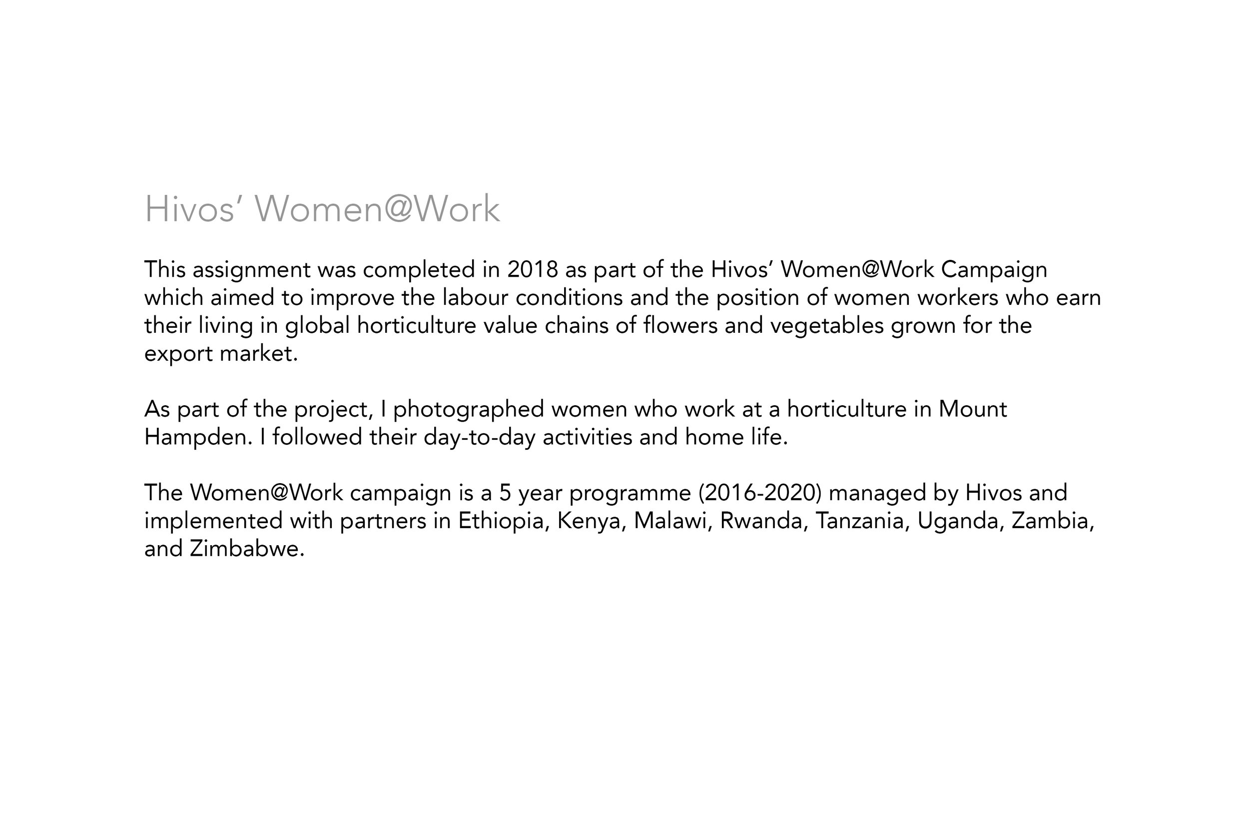 Hivos Women @ Work Intro.jpg